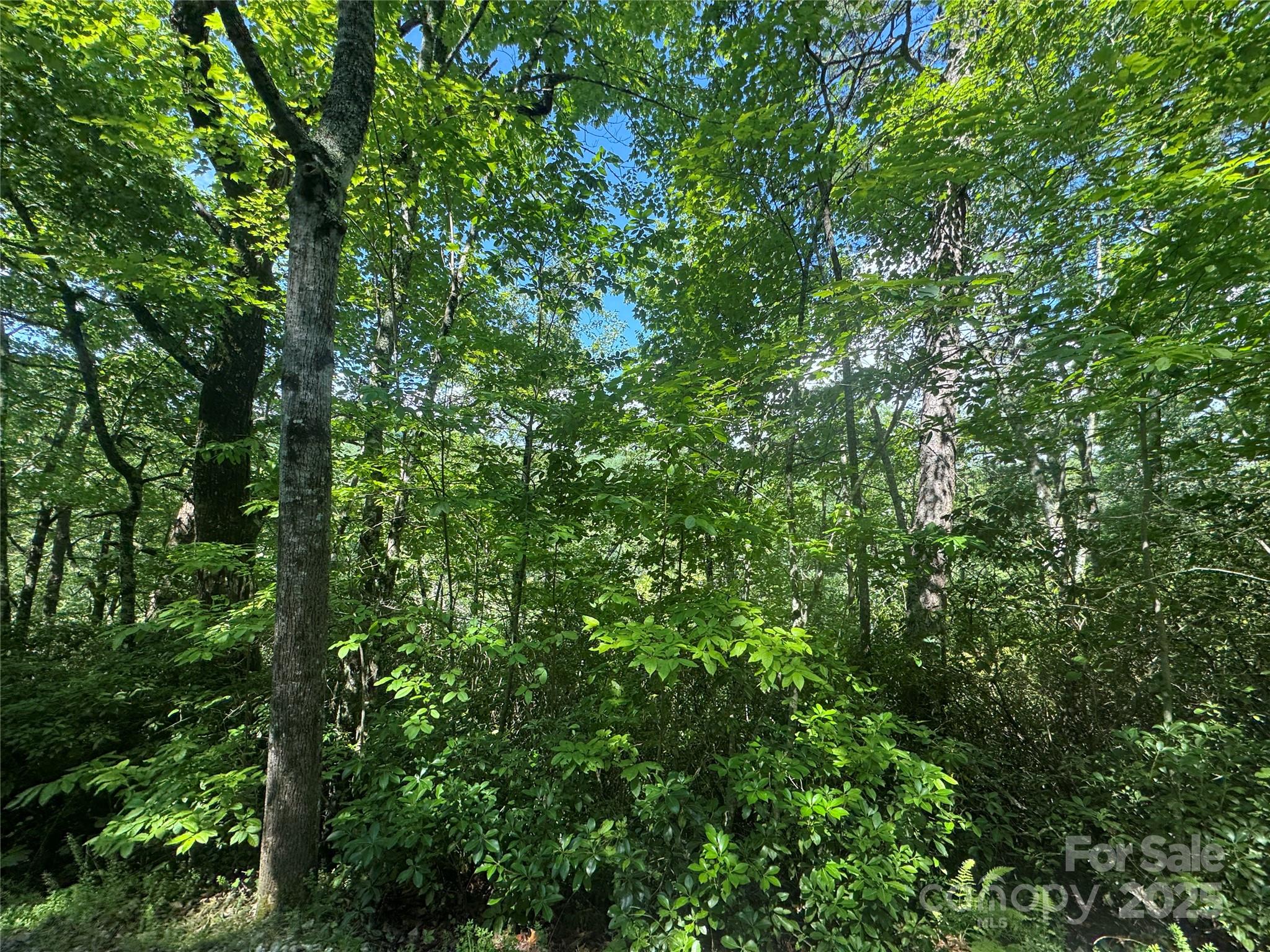 999 Ivy Lane Property Photo 15