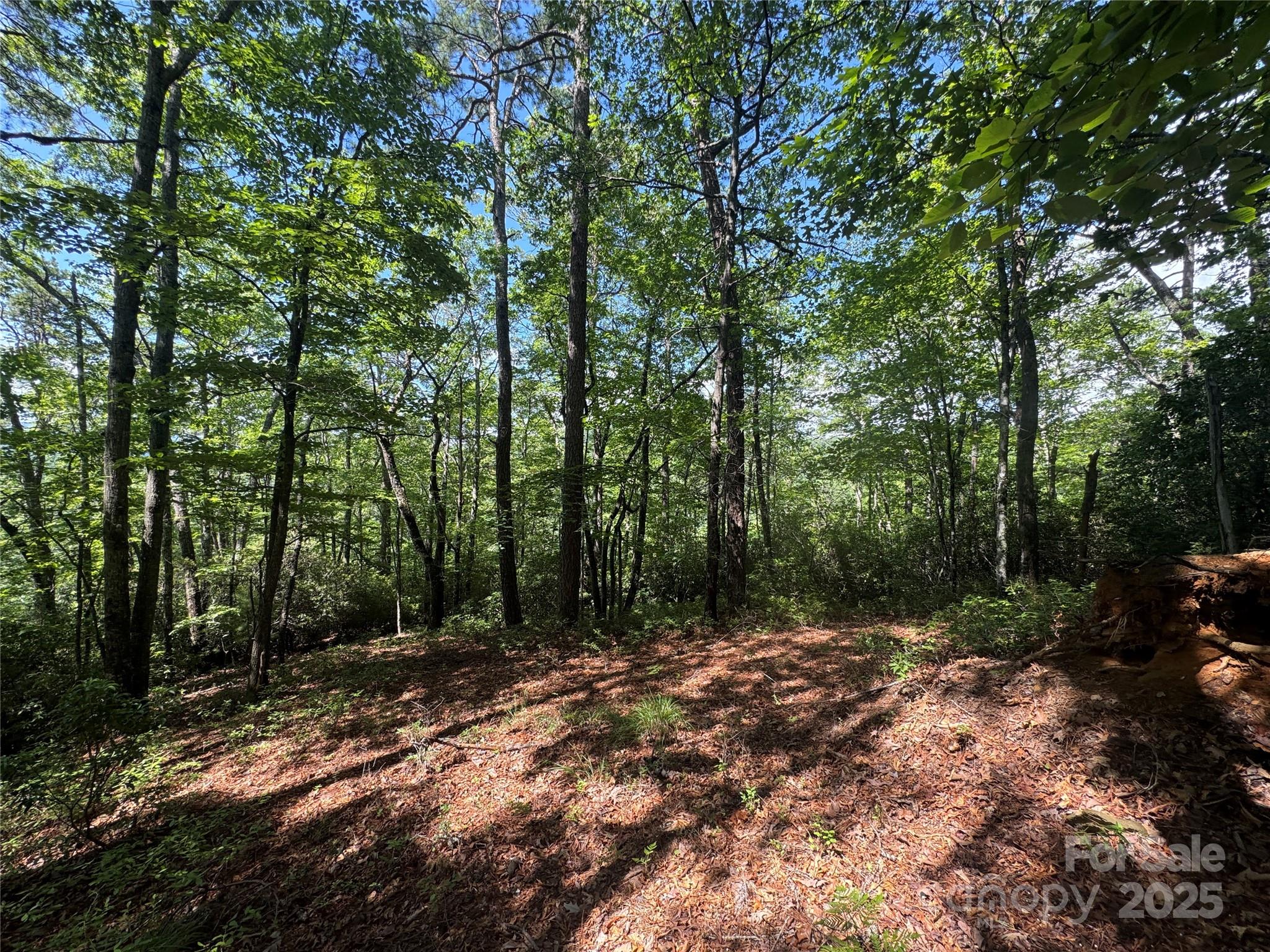 999 Ivy Lane Property Photo 18