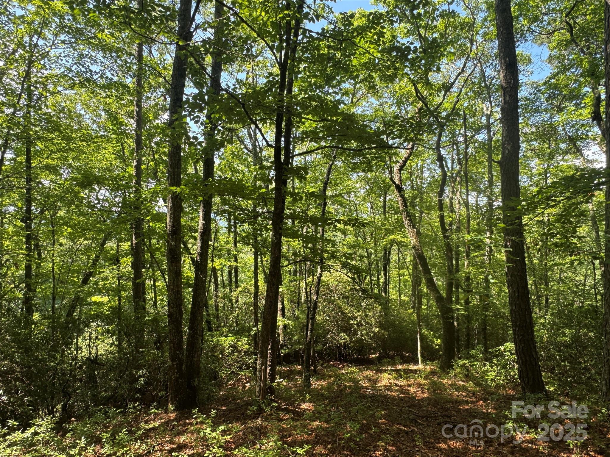 999 Ivy Lane Property Photo 19