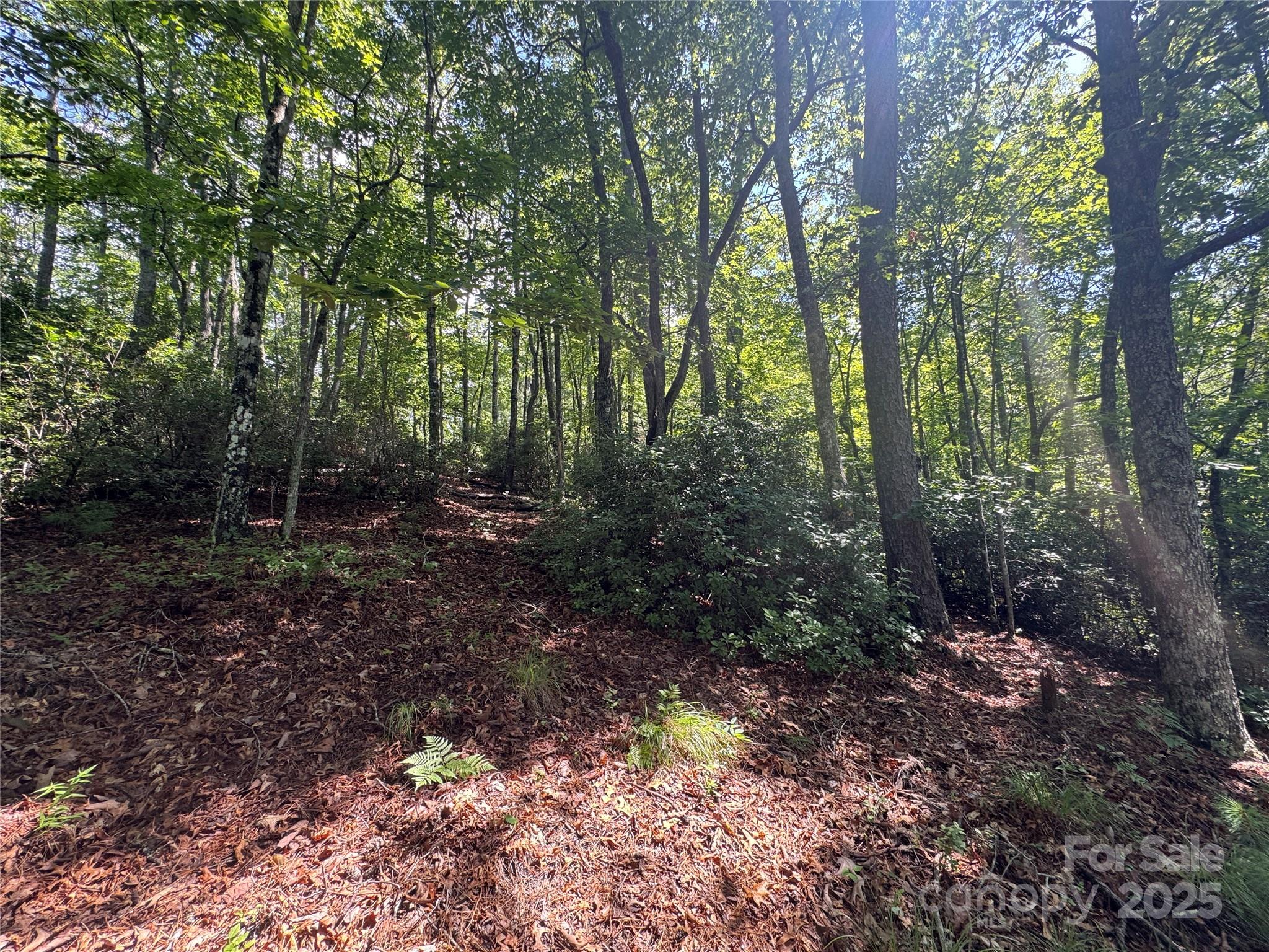 999 Ivy Lane Property Photo 20