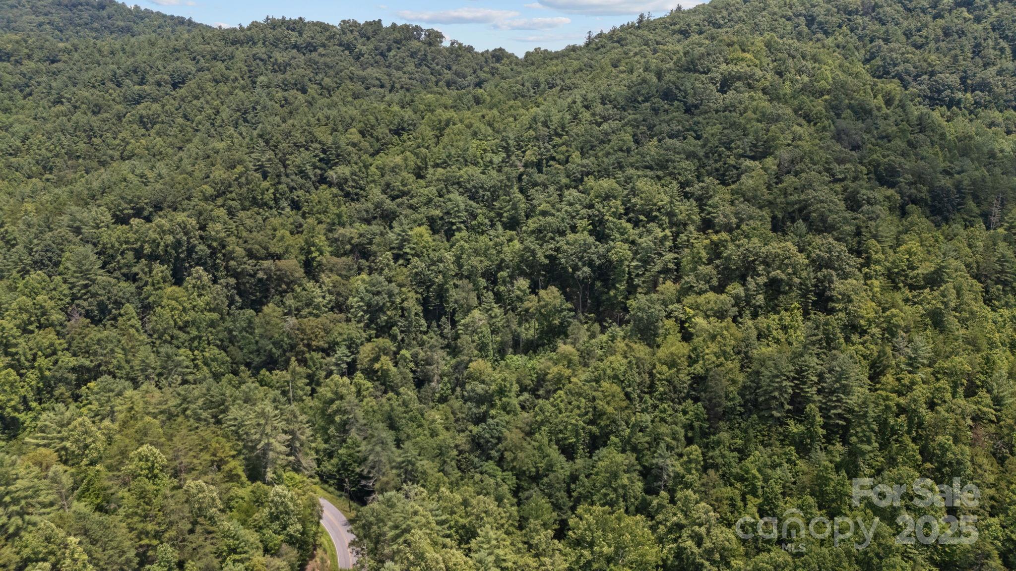 1296 Sheets Gap Road Property Photo 4