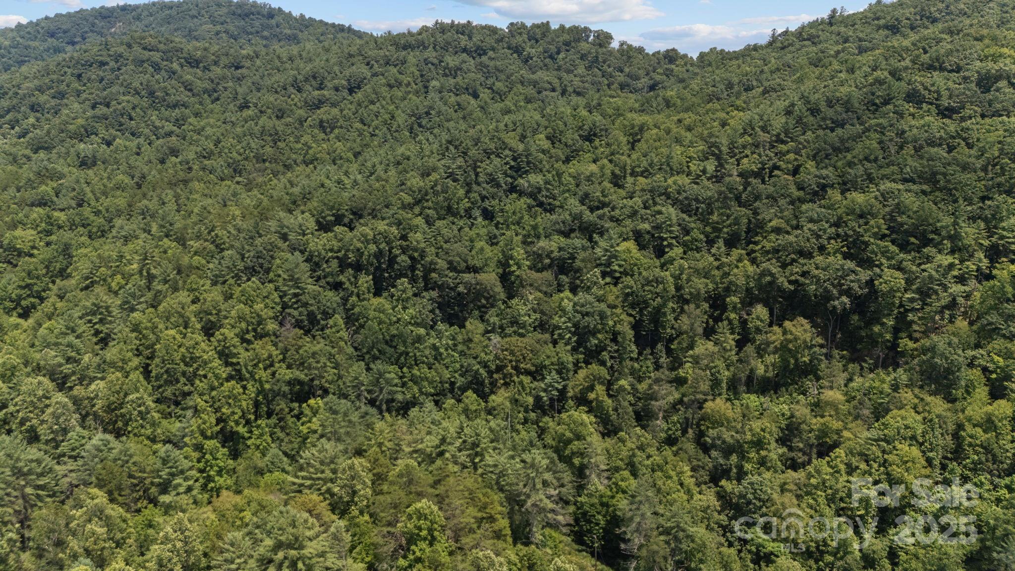 1296 Sheets Gap Road Property Photo 5
