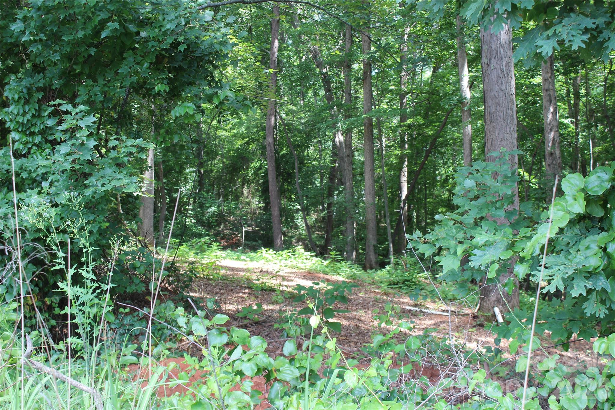 7220 Little Mountain Road Property Photo 9