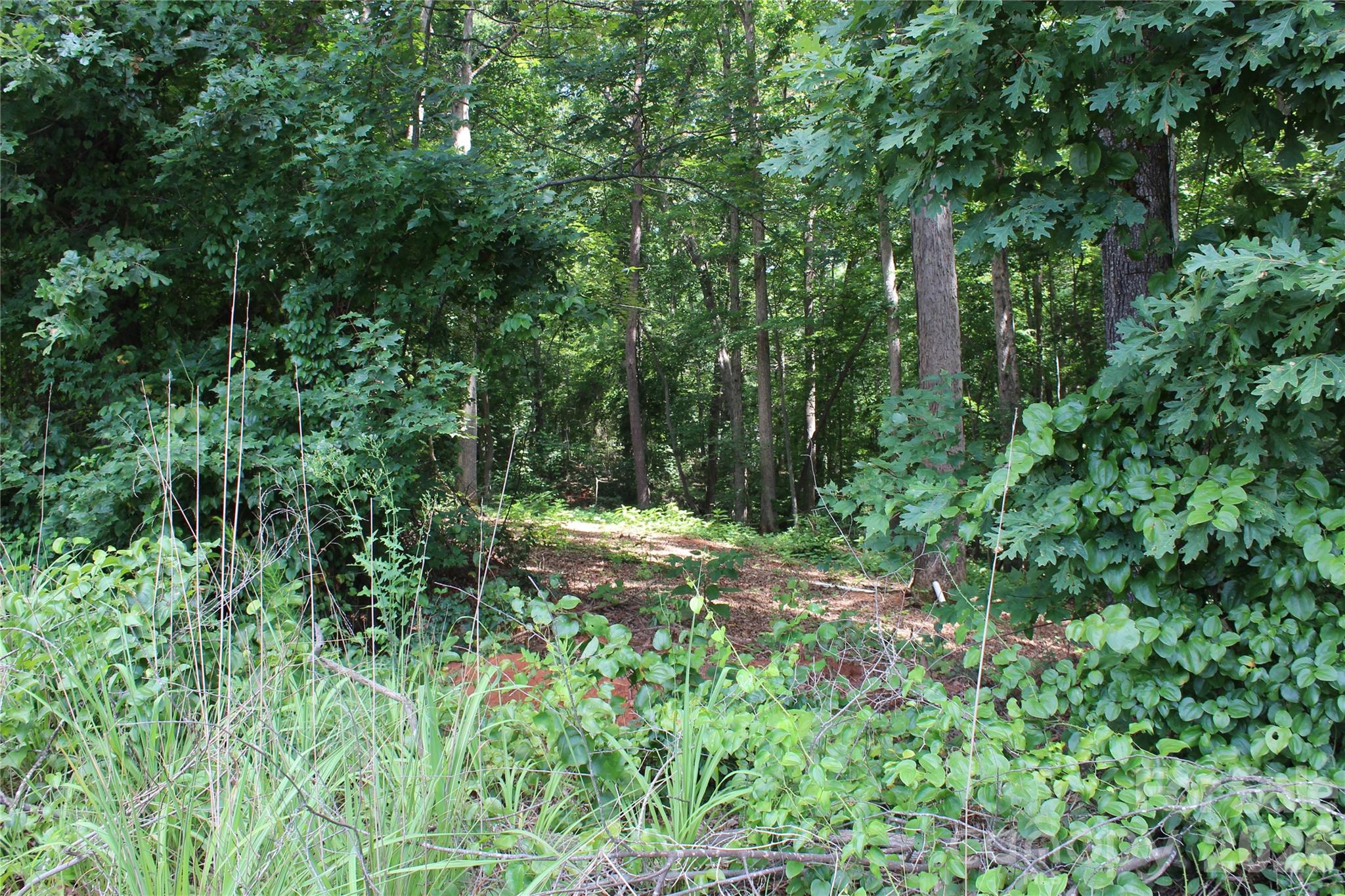 7220 Little Mountain Road Property Photo 10