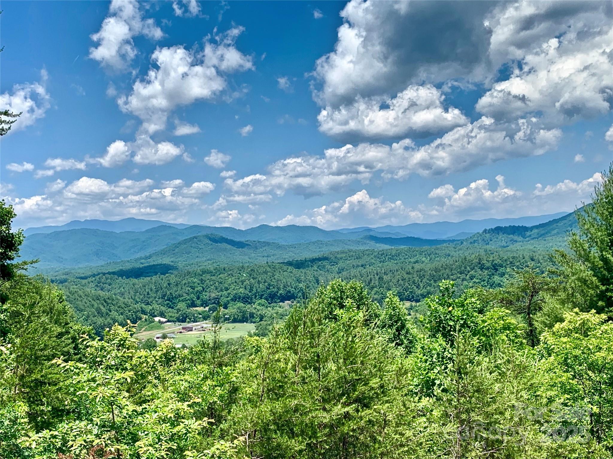 1879 Johns Ridge Parkway Lot 163 Property Photo