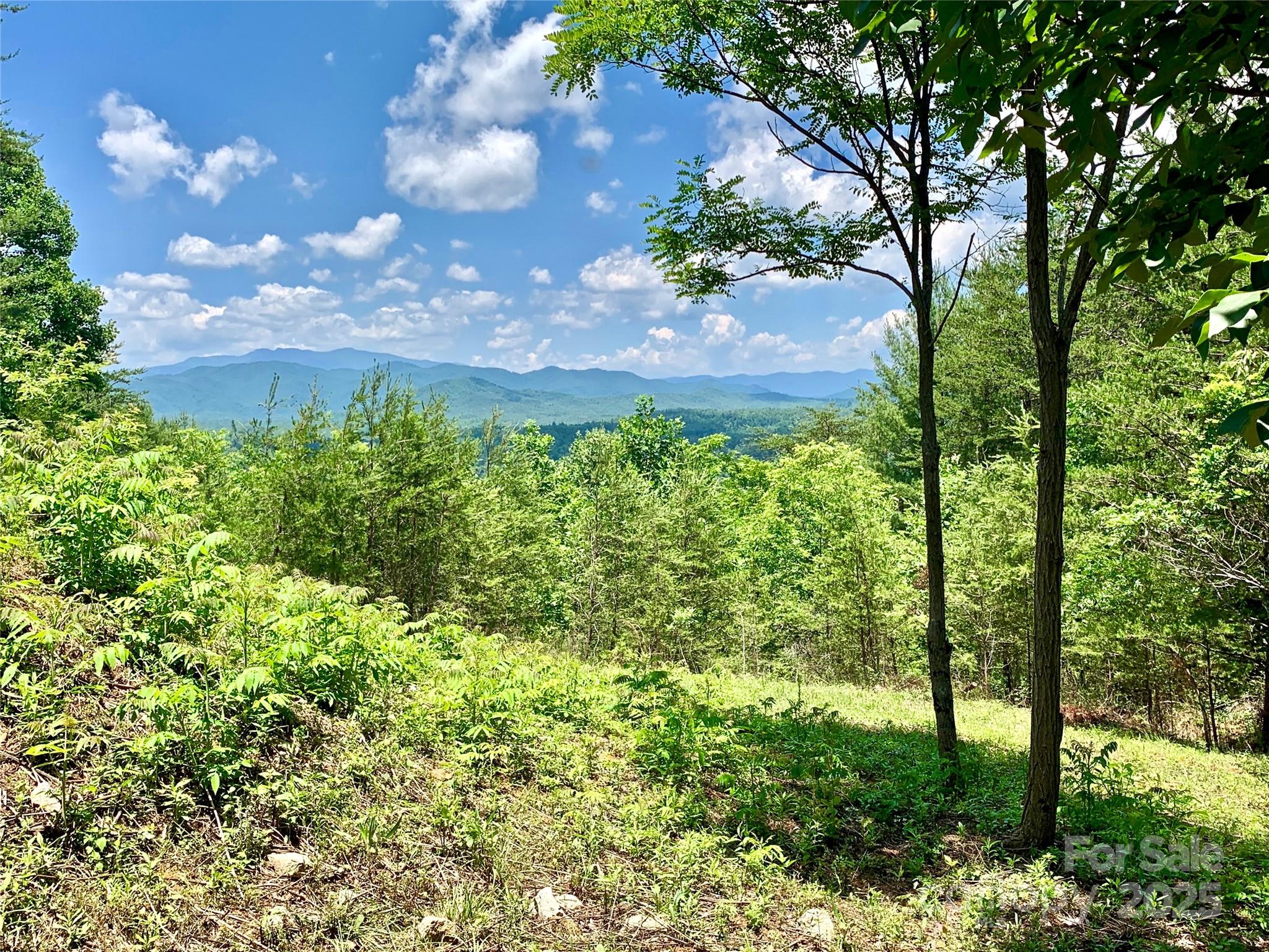 1879 Johns Ridge Parkway Lot 163 Property Photo 2