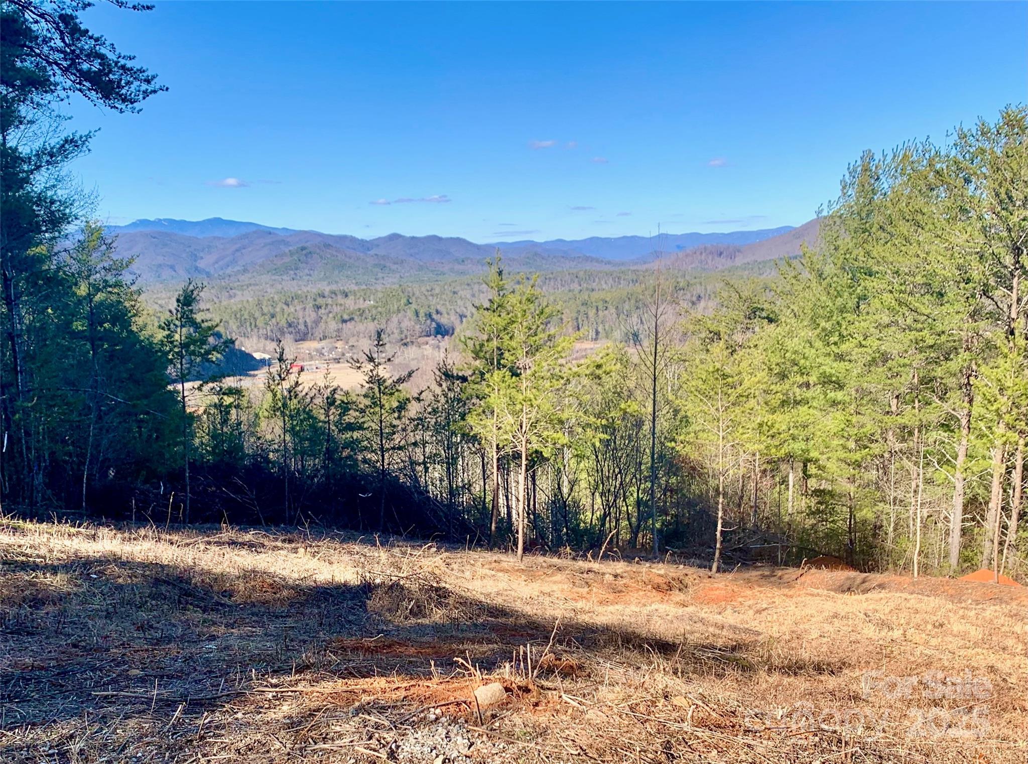1879 Johns Ridge Parkway Lot 163 Property Photo 4