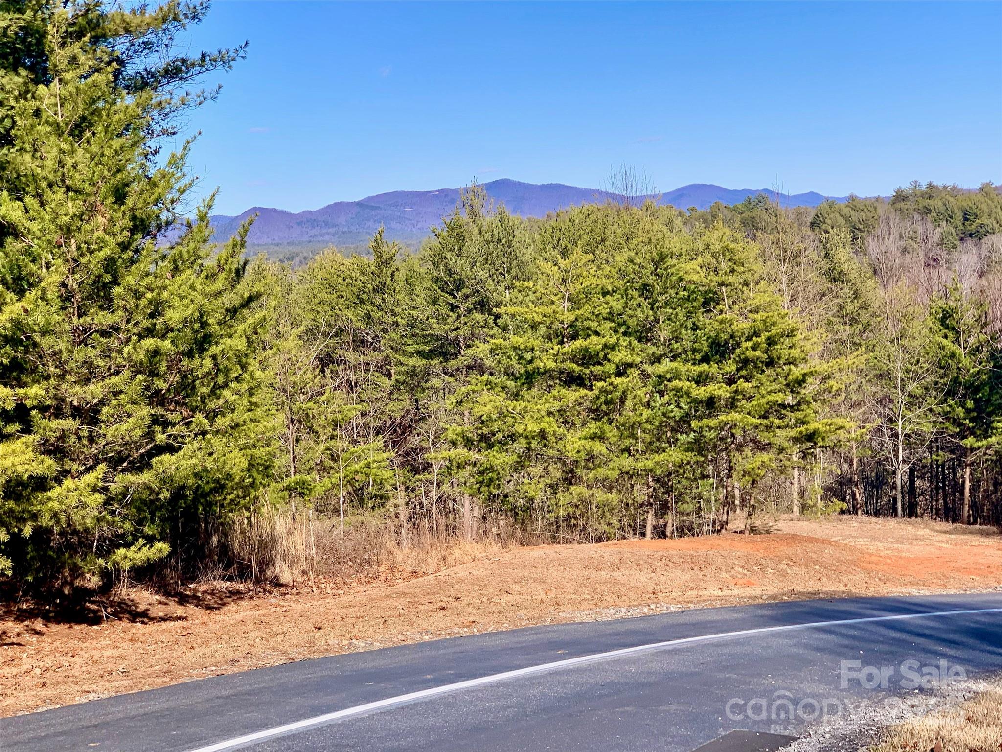 1879 Johns Ridge Parkway Lot 163 Property Photo 5