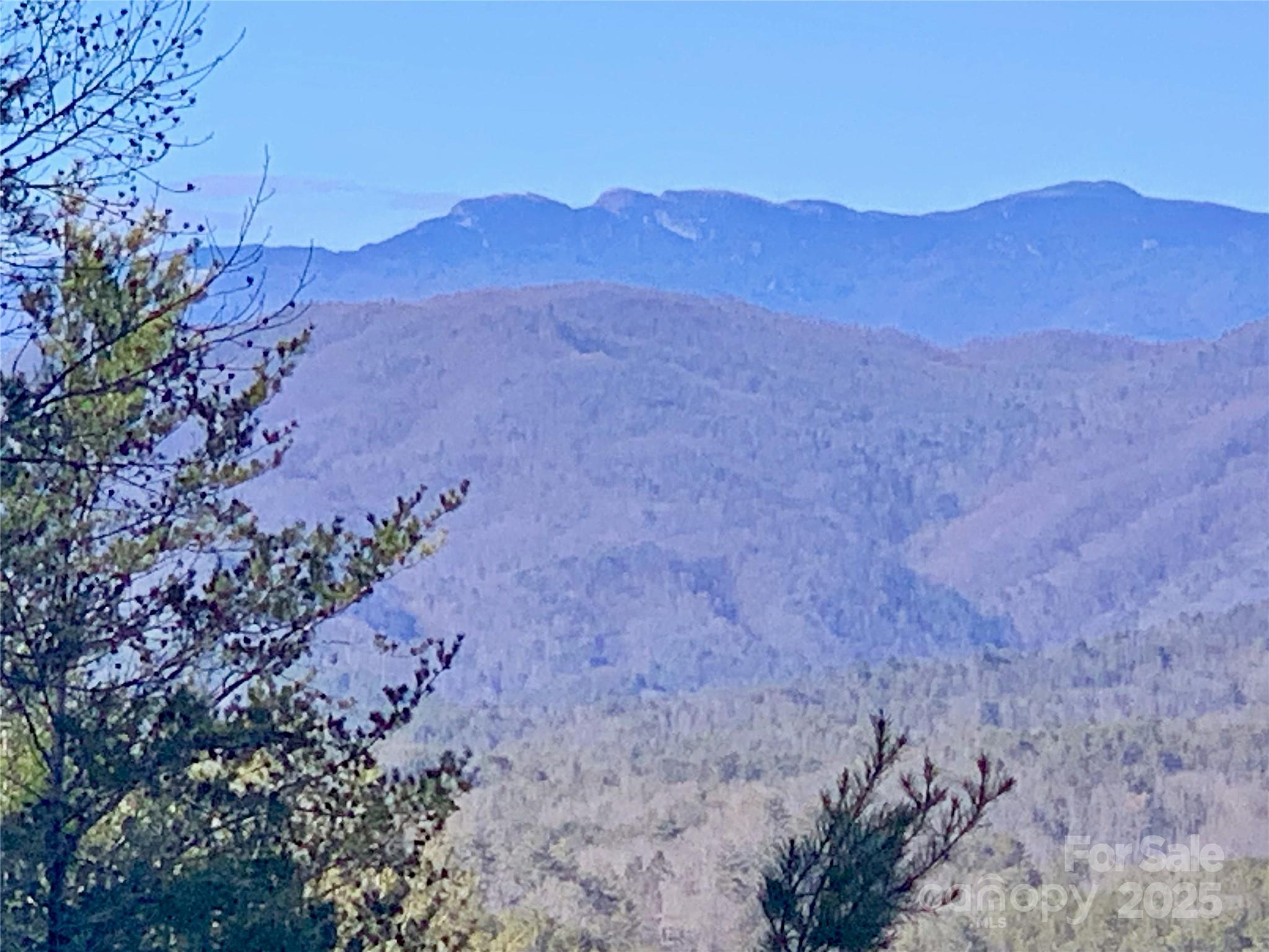 1879 Johns Ridge Parkway Lot 163 Property Photo 6