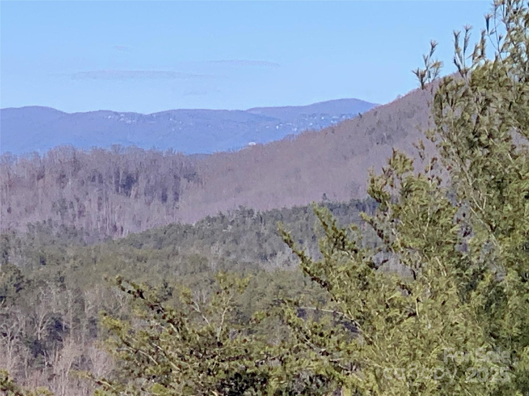 1879 Johns Ridge Parkway Lot 163 Property Photo 7