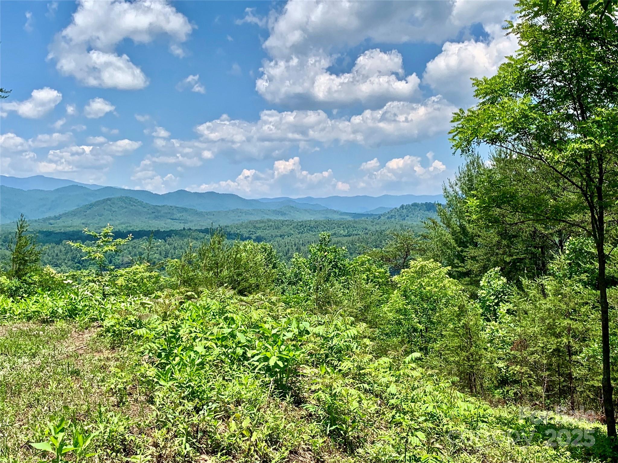 1879 Johns Ridge Parkway Lot 163 Property Photo 9