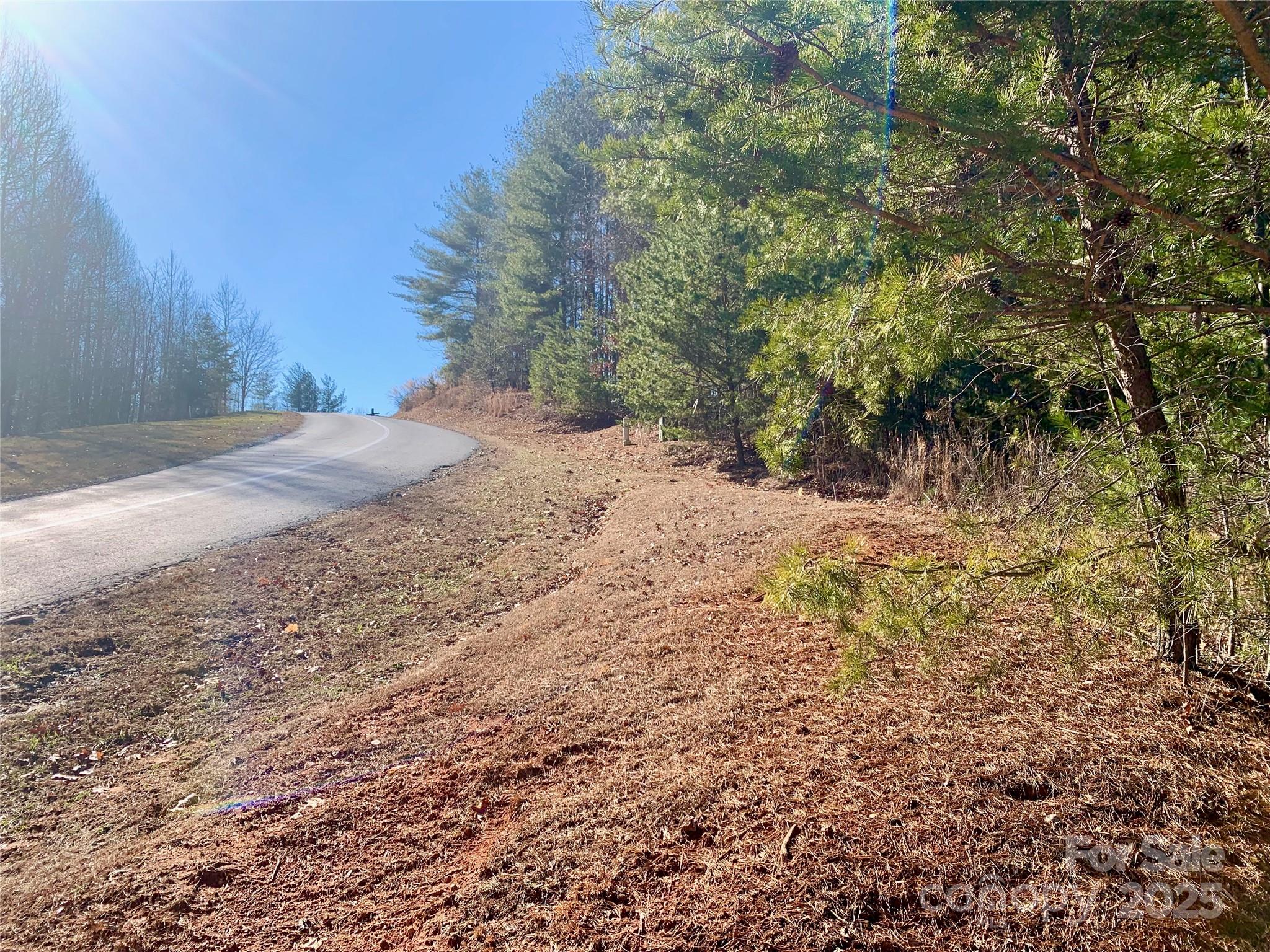 1879 Johns Ridge Parkway Lot 163 Property Photo 10