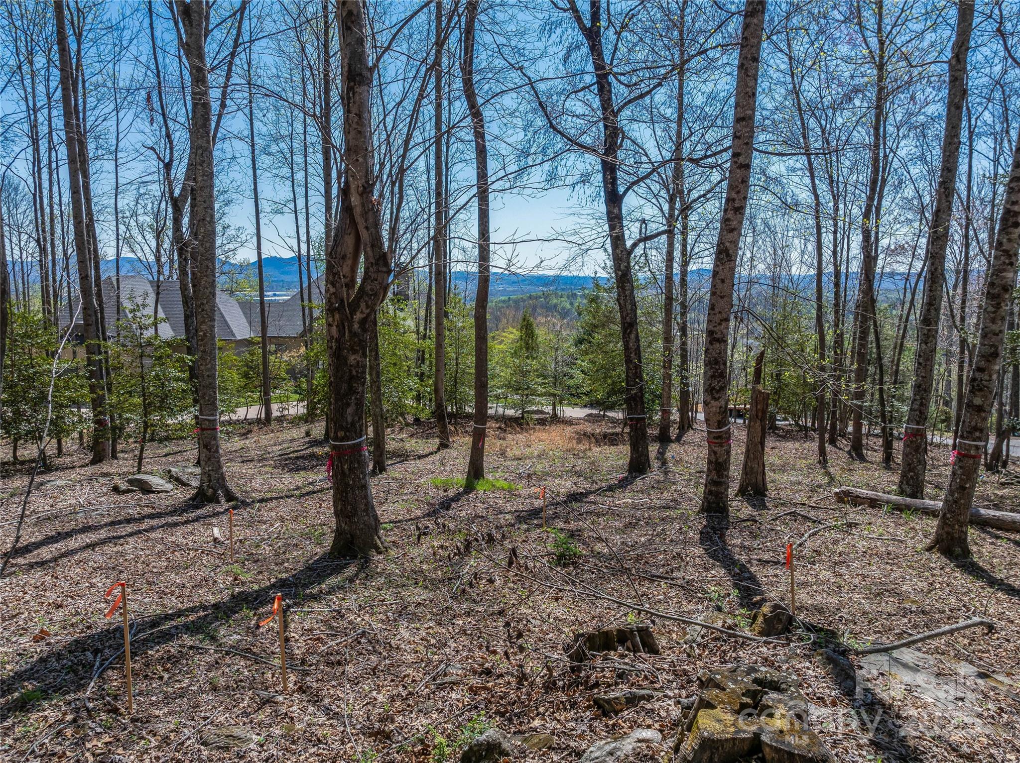 96 Split Rock Trail 5 Property Photo