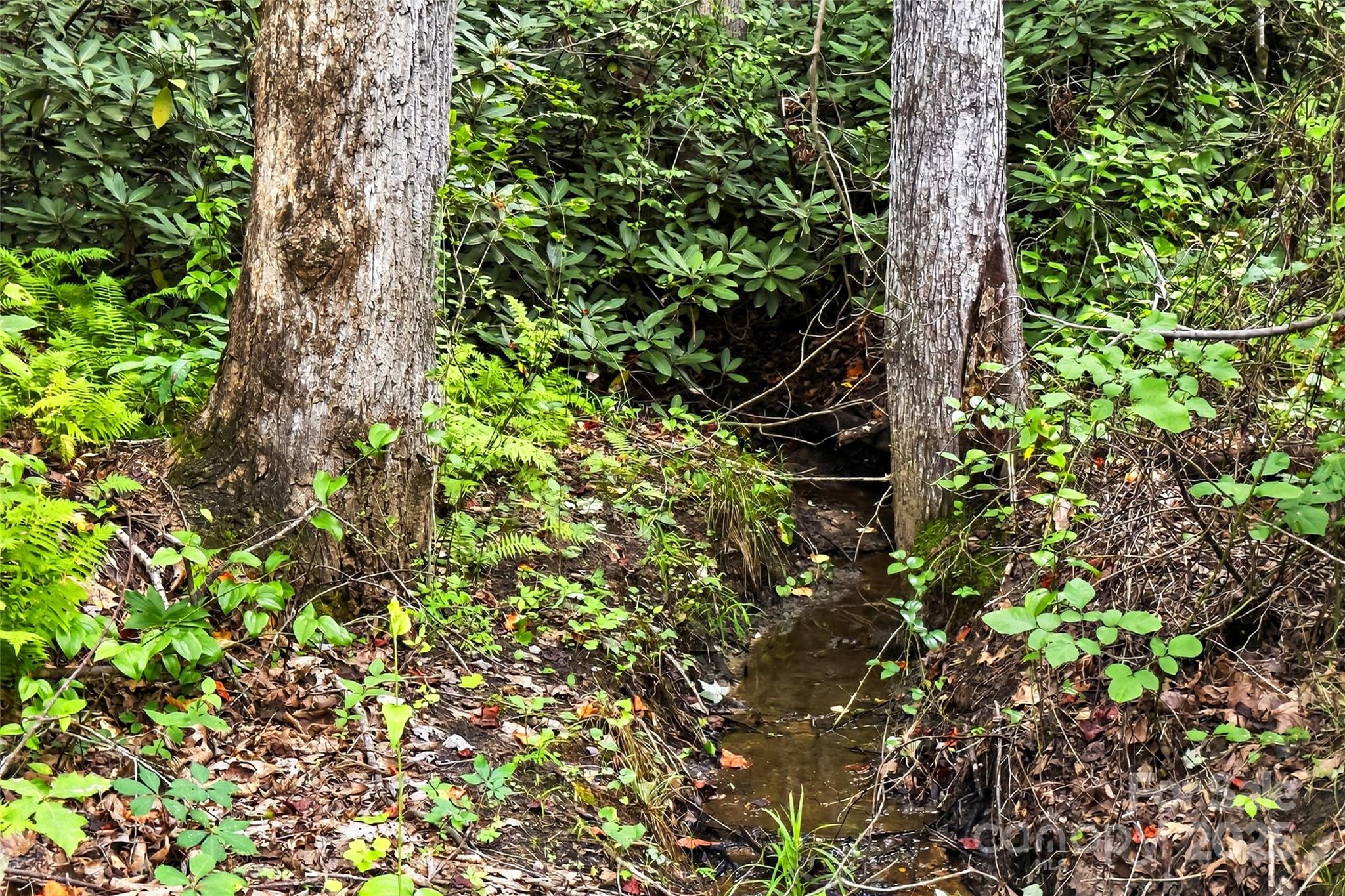 62 Ashe Bridge Road Property Photo 34