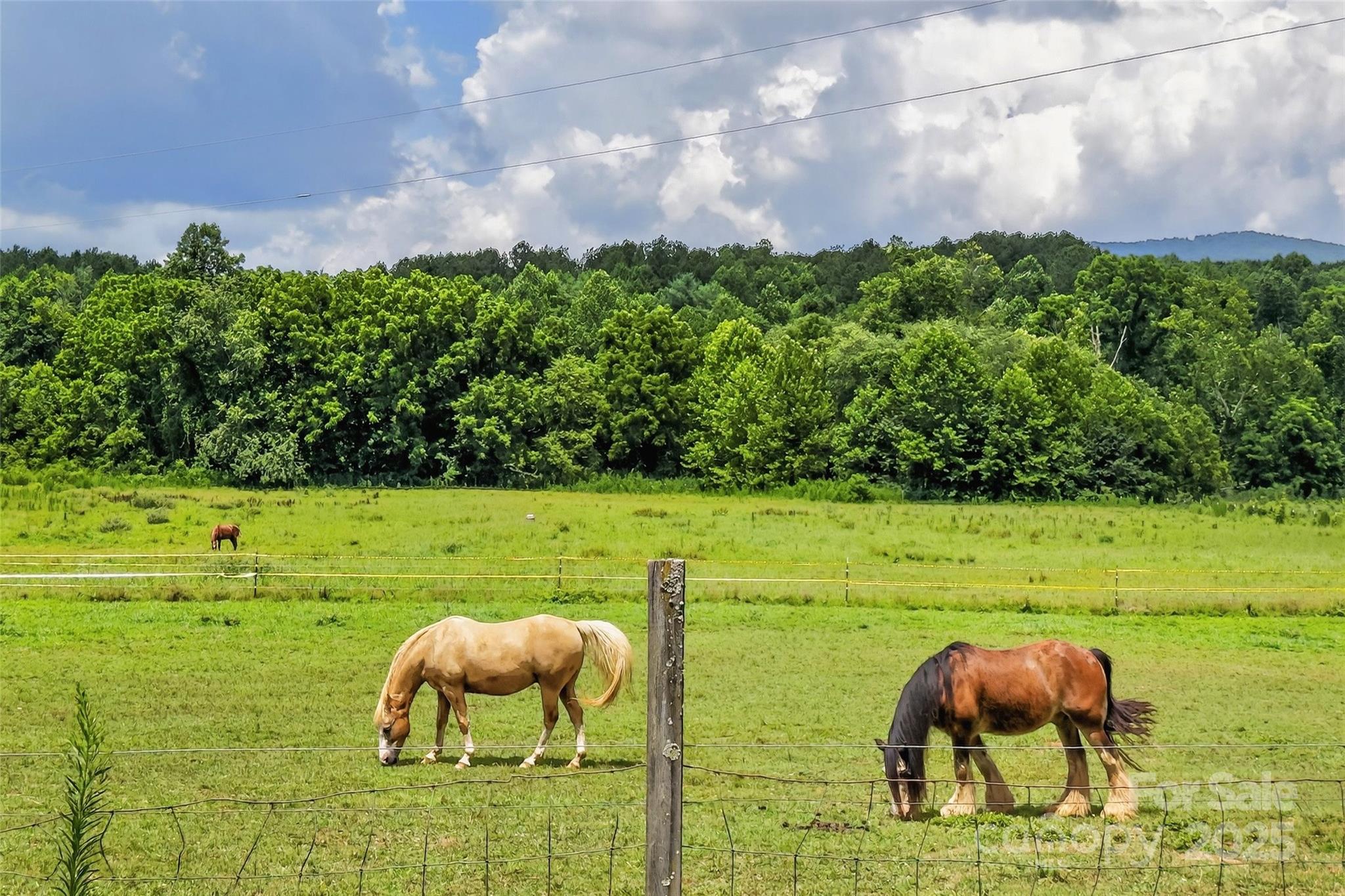 62 Ashe Bridge Road Property Photo 35