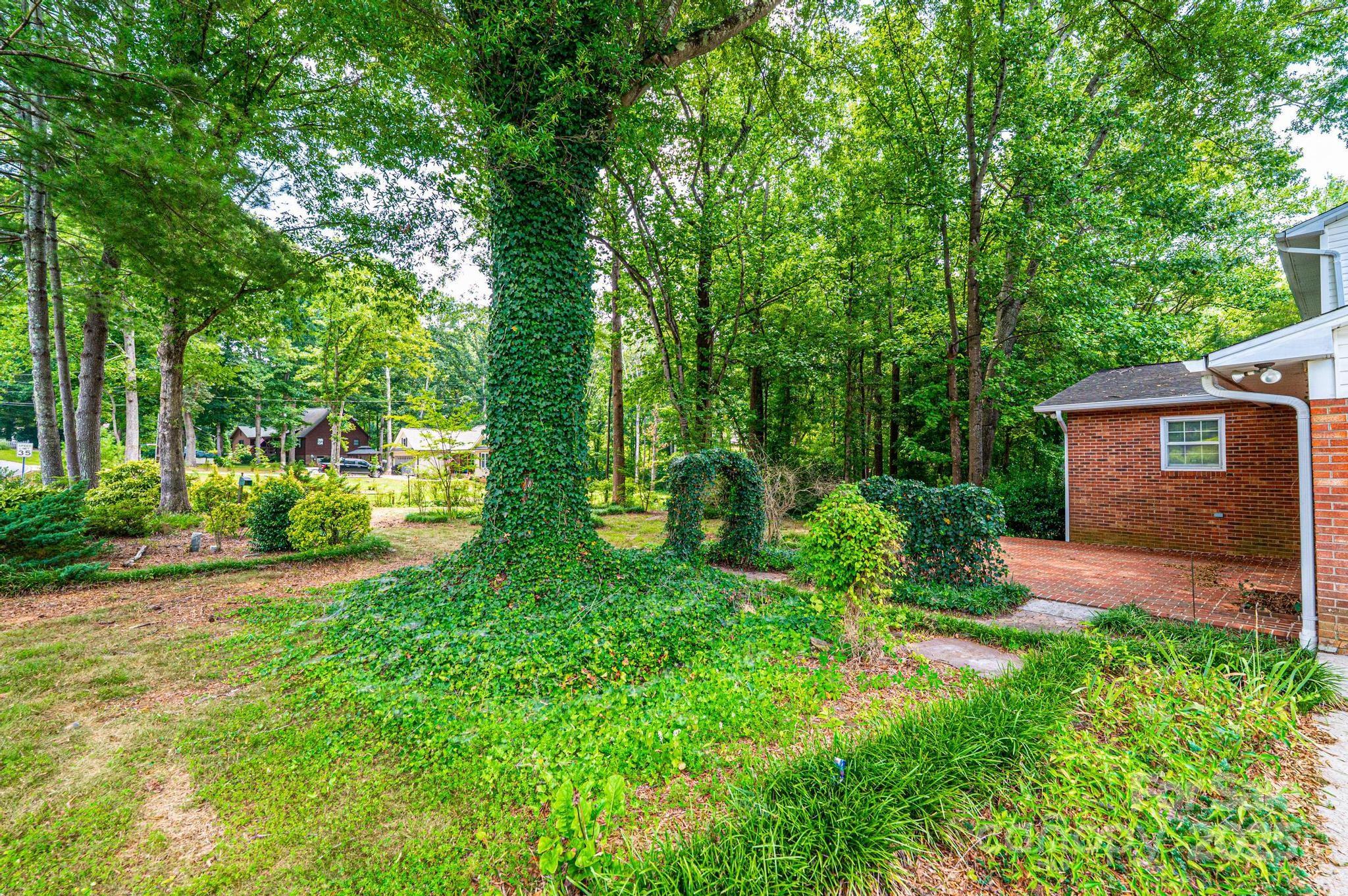 3781 Dover Street Property Photo 5