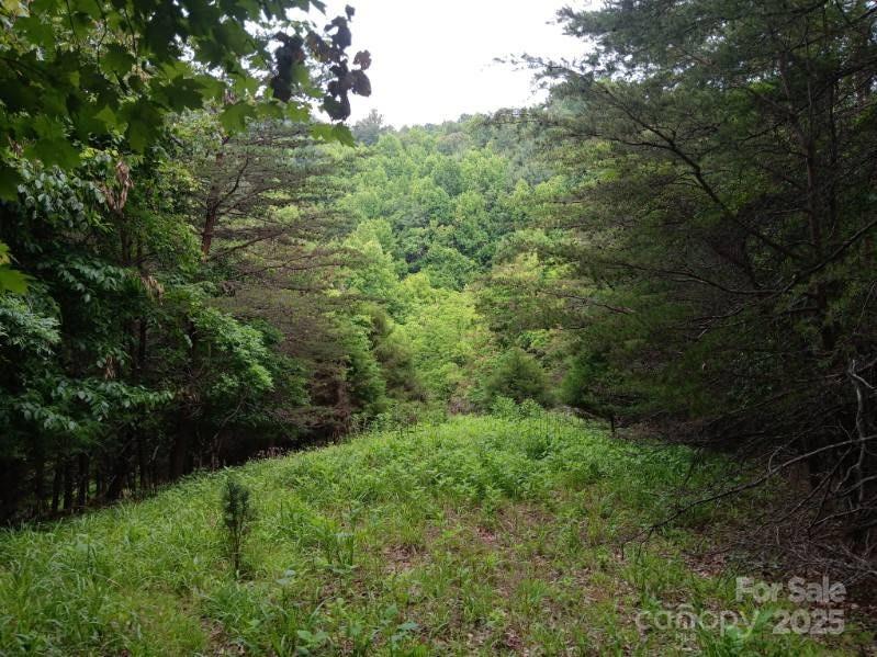 2255 Nc Hwy 268 Highway Property Photo 1