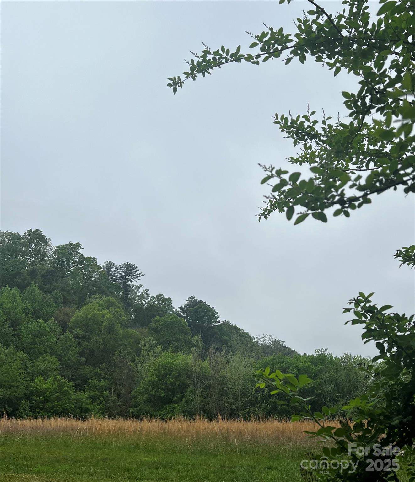 2255 Nc Hwy 268 Highway Property Photo 9