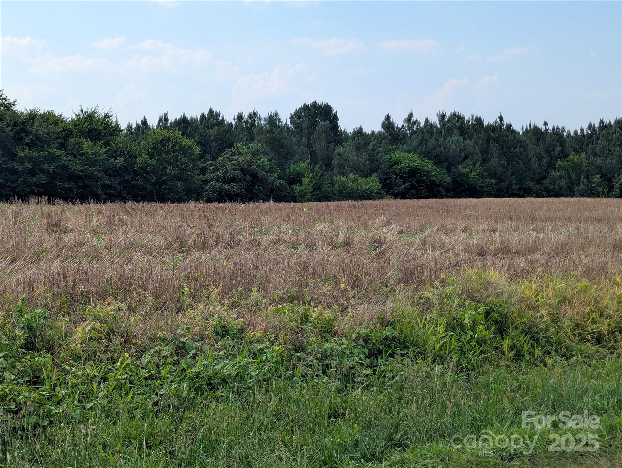 1455 Blonnie Ross Road Property Photo 4