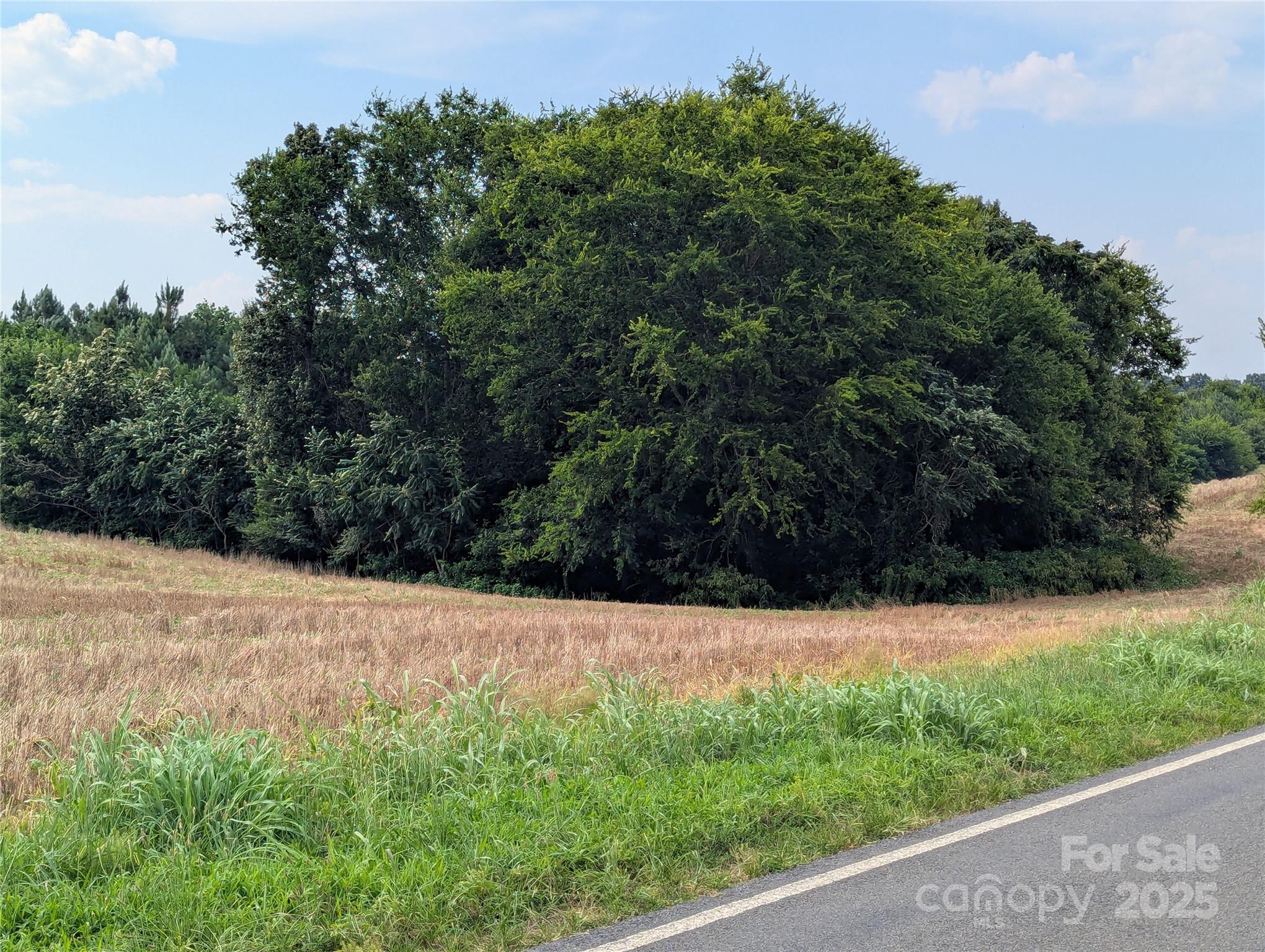 1455 Blonnie Ross Road Property Photo 6