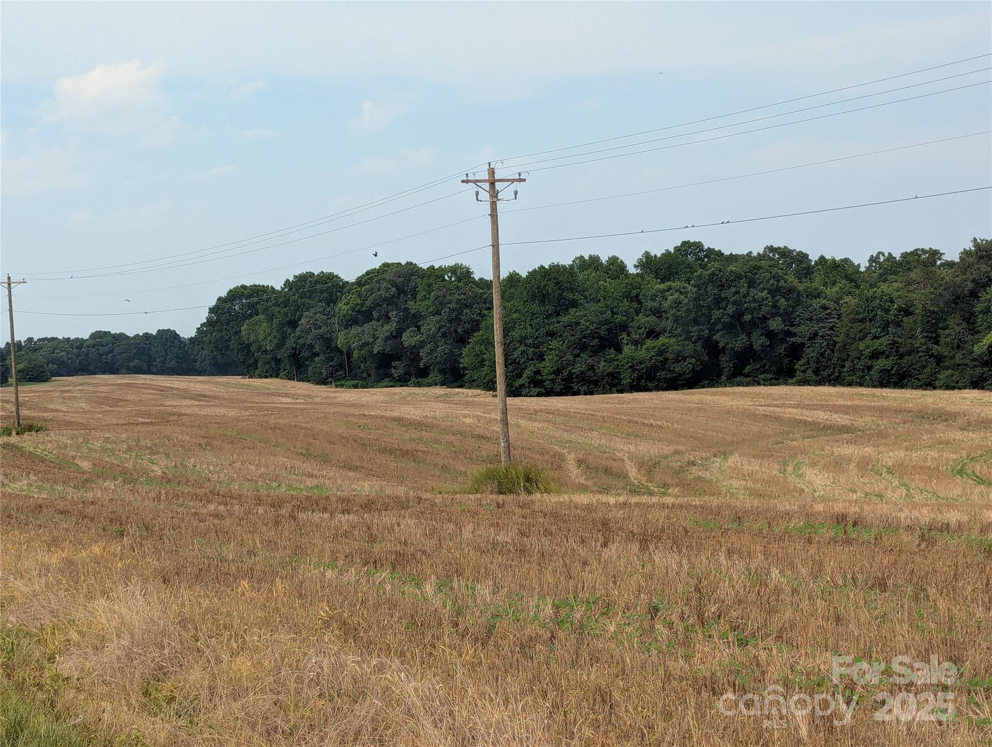 1455 Blonnie Ross Road Property Photo 7