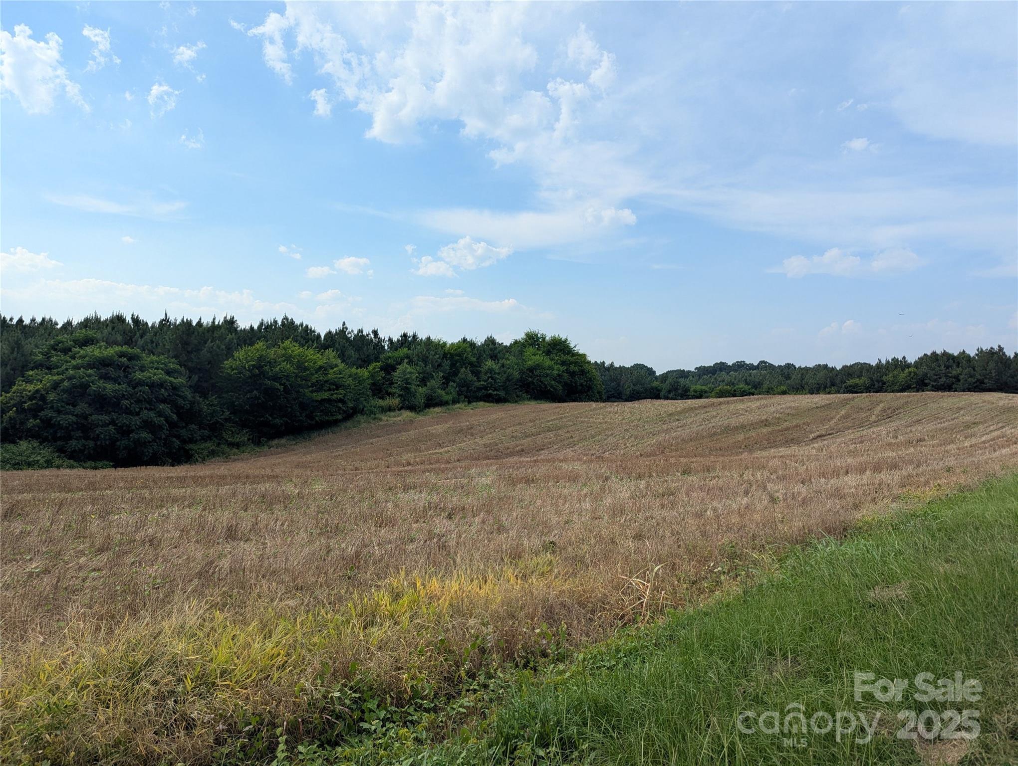 1455 Blonnie Ross Road Property Photo 8