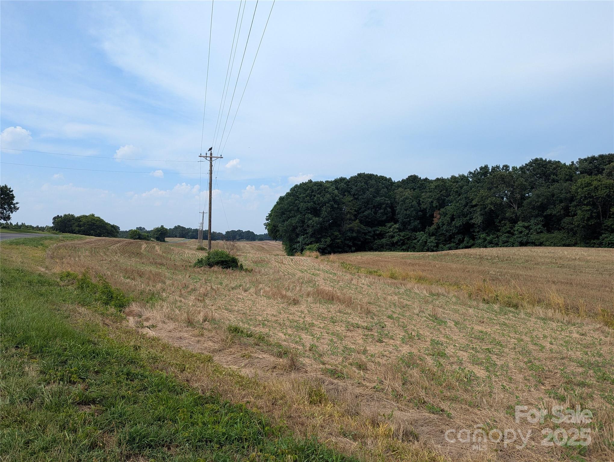 1455 Blonnie Ross Road Property Photo 9