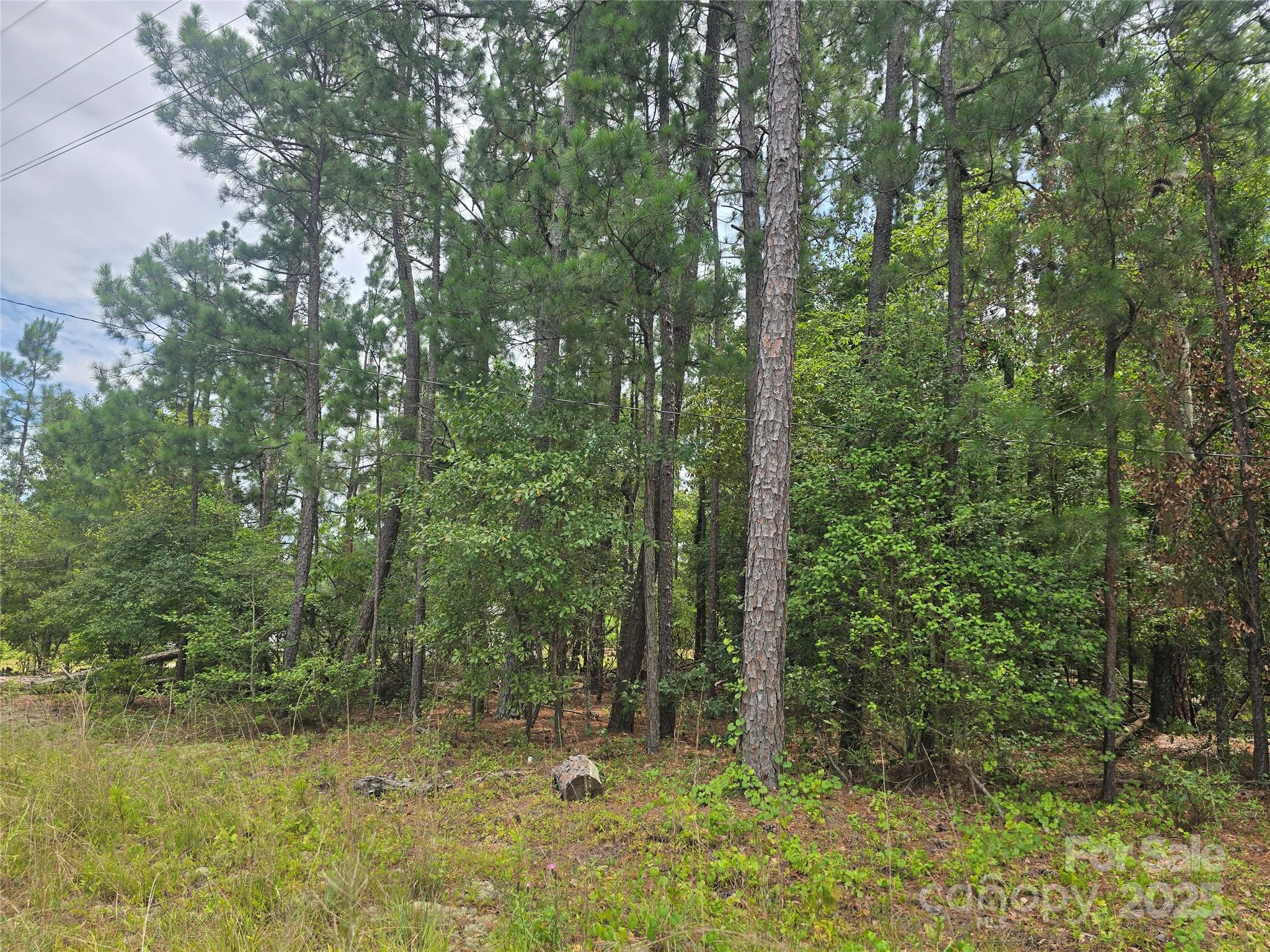 00 Johnny Williams Road 5 Property Photo 1