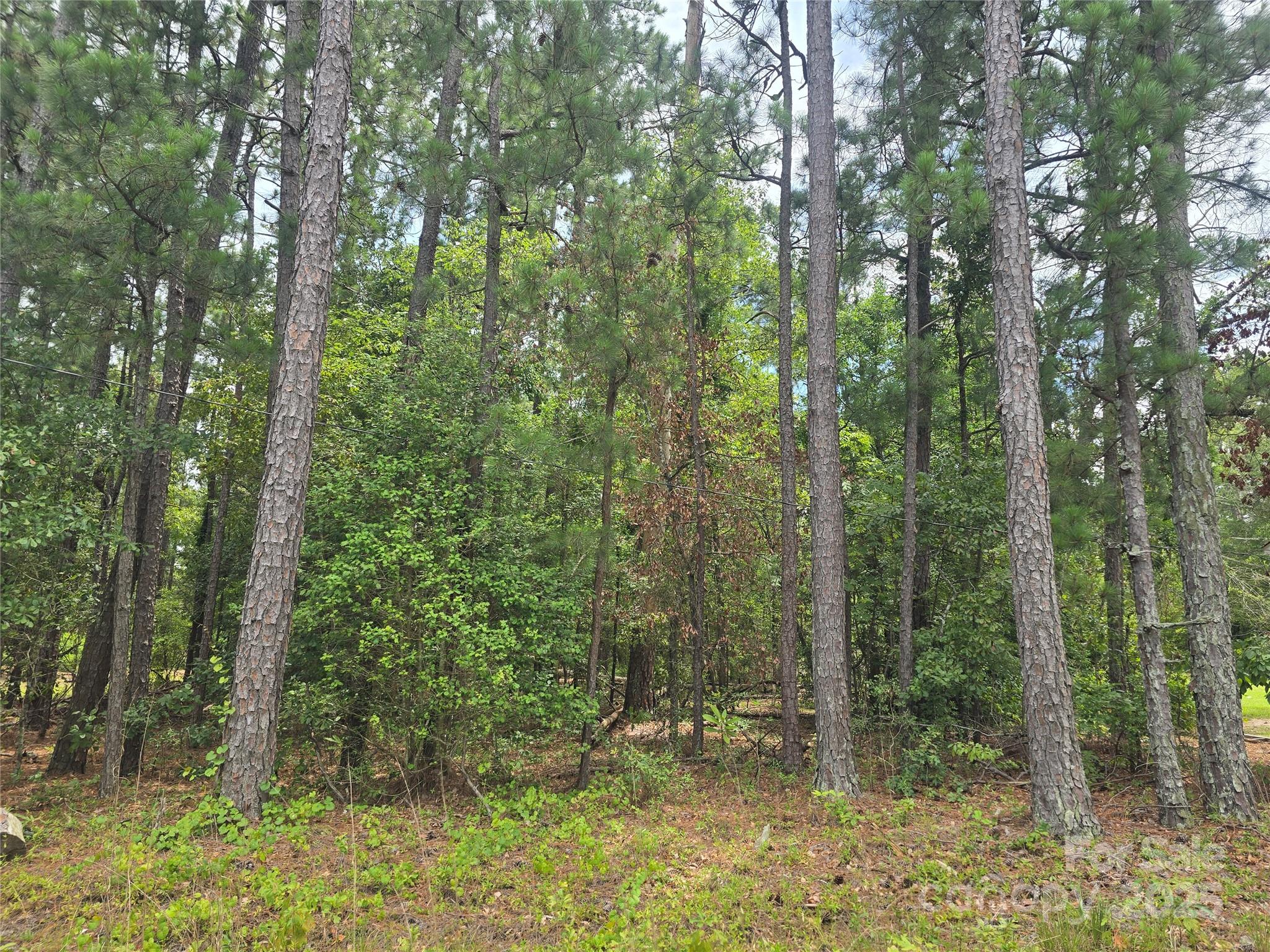 00 Johnny Williams Road 5 Property Photo 2
