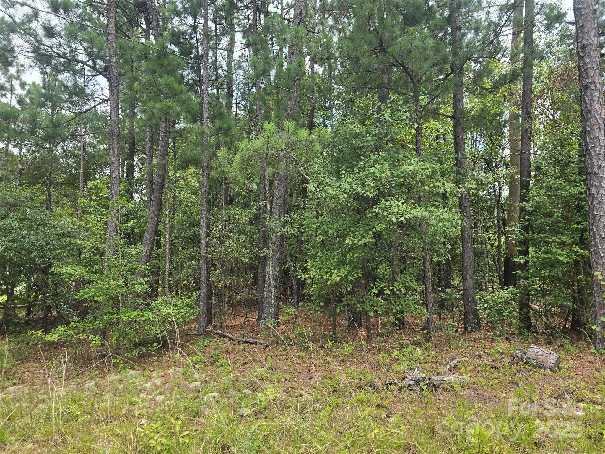00 Johnny Williams Road 5 Property Photo 3