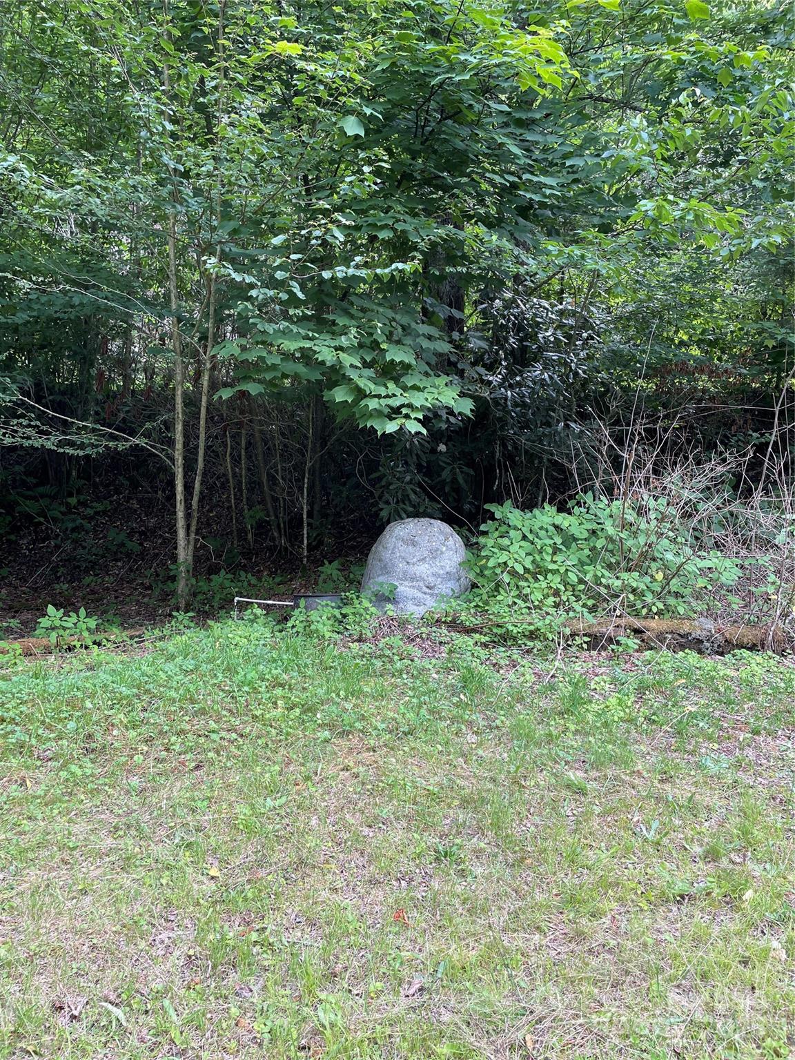 686 Mashstomp Road Property Photo 10