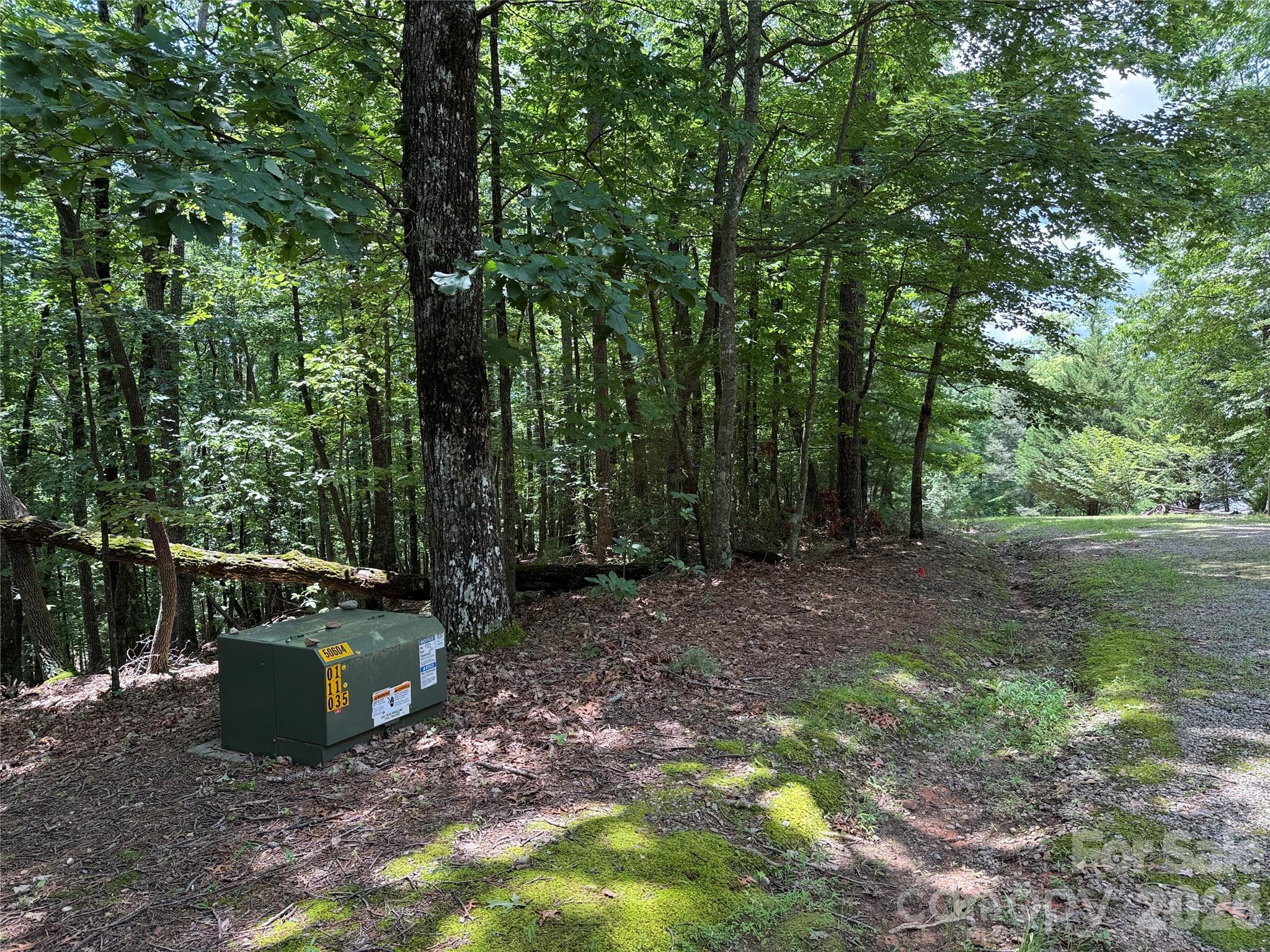 Tbd Pine Burr Drive 139 Property Photo 3