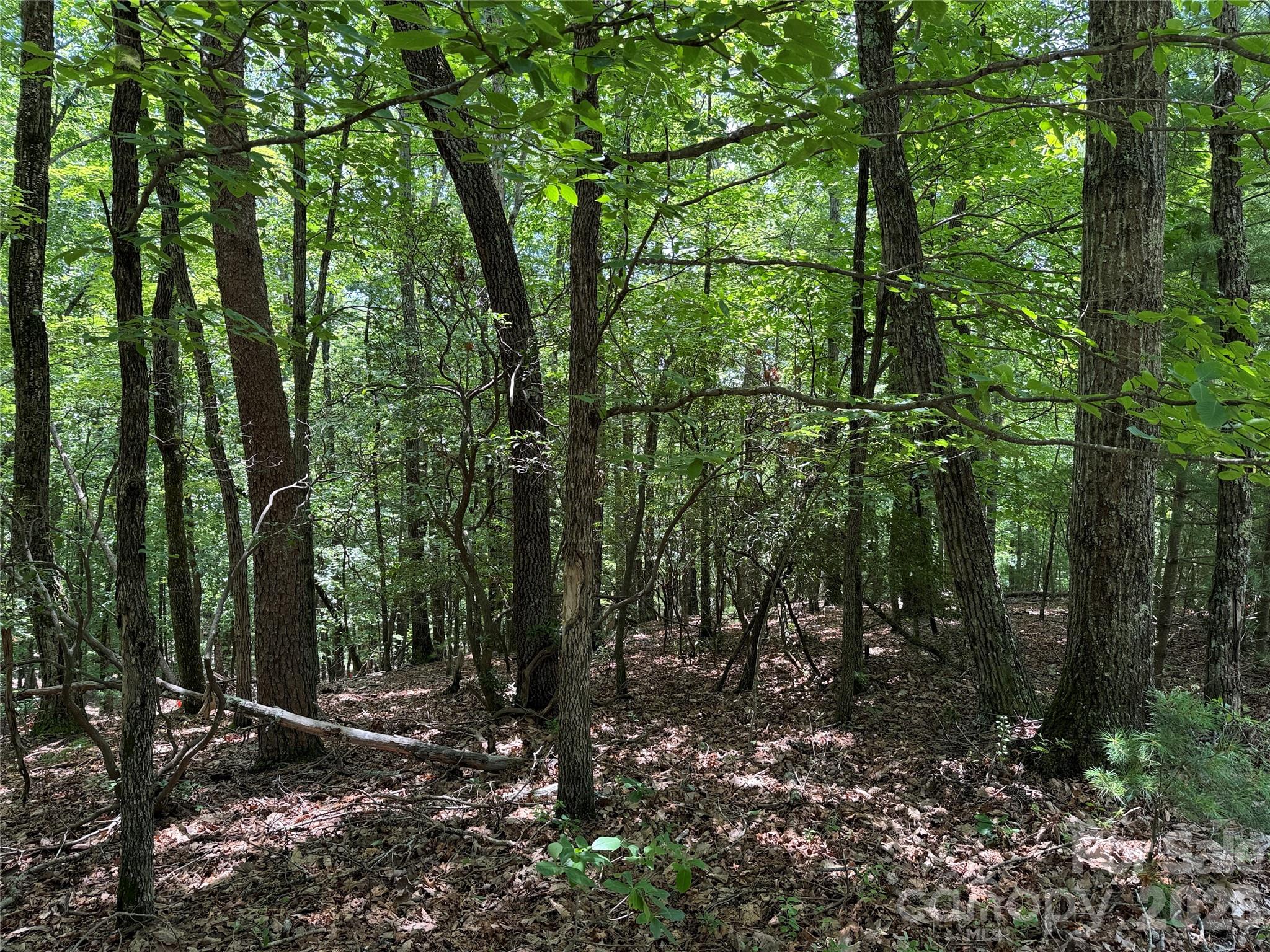 Tbd Pine Burr Drive 139 Property Photo 12