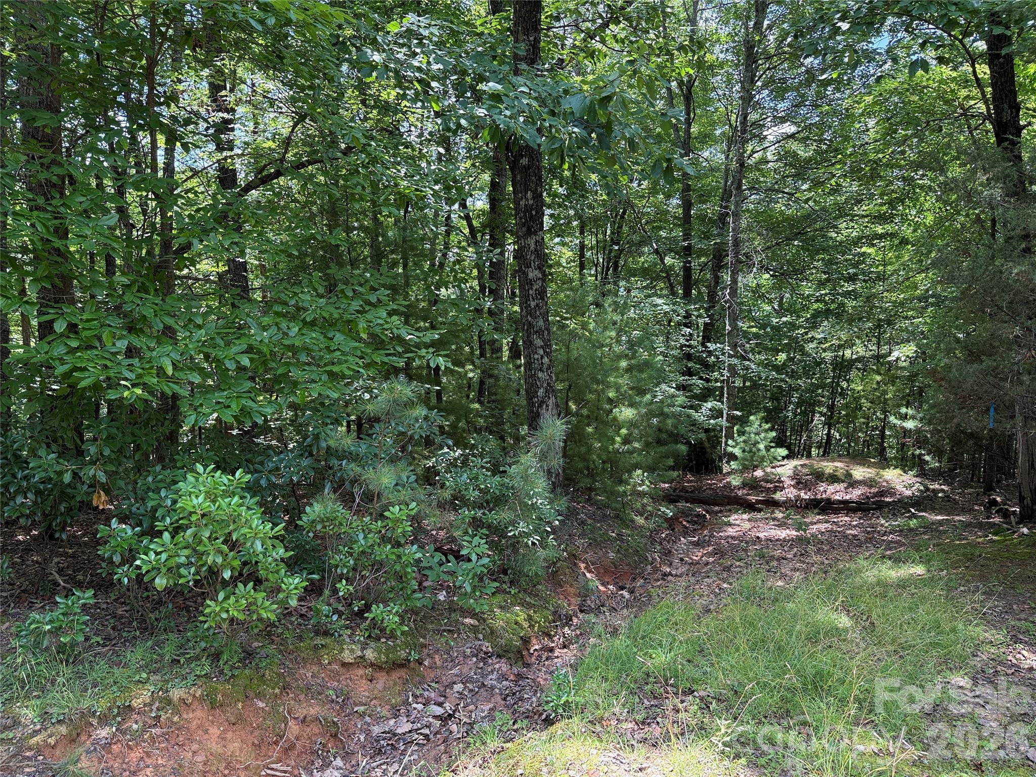 Tbd Pine Burr Drive 139 Property Photo 14