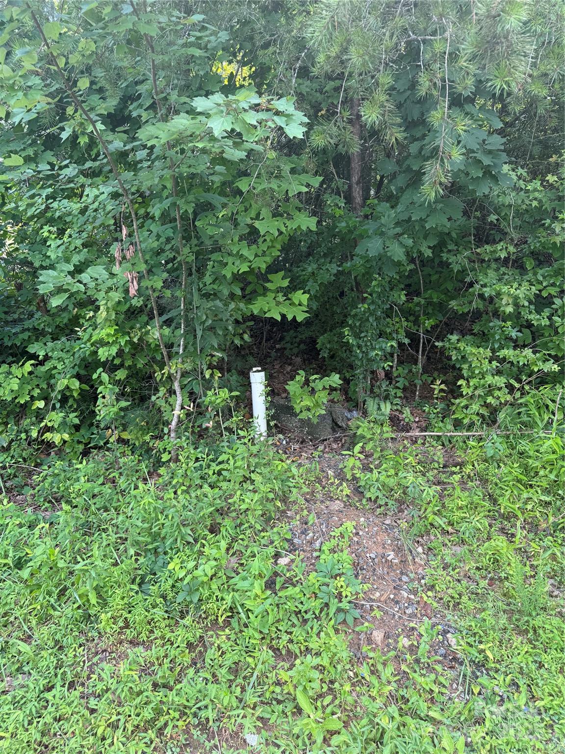 1047 Williamsburg Drive Property Photo 4
