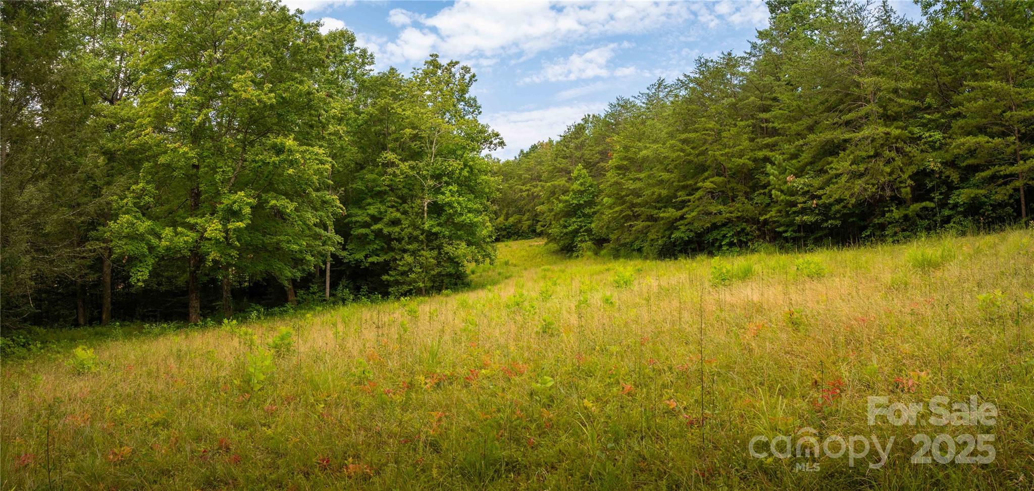 99999 Lavender Road Property Photo 1