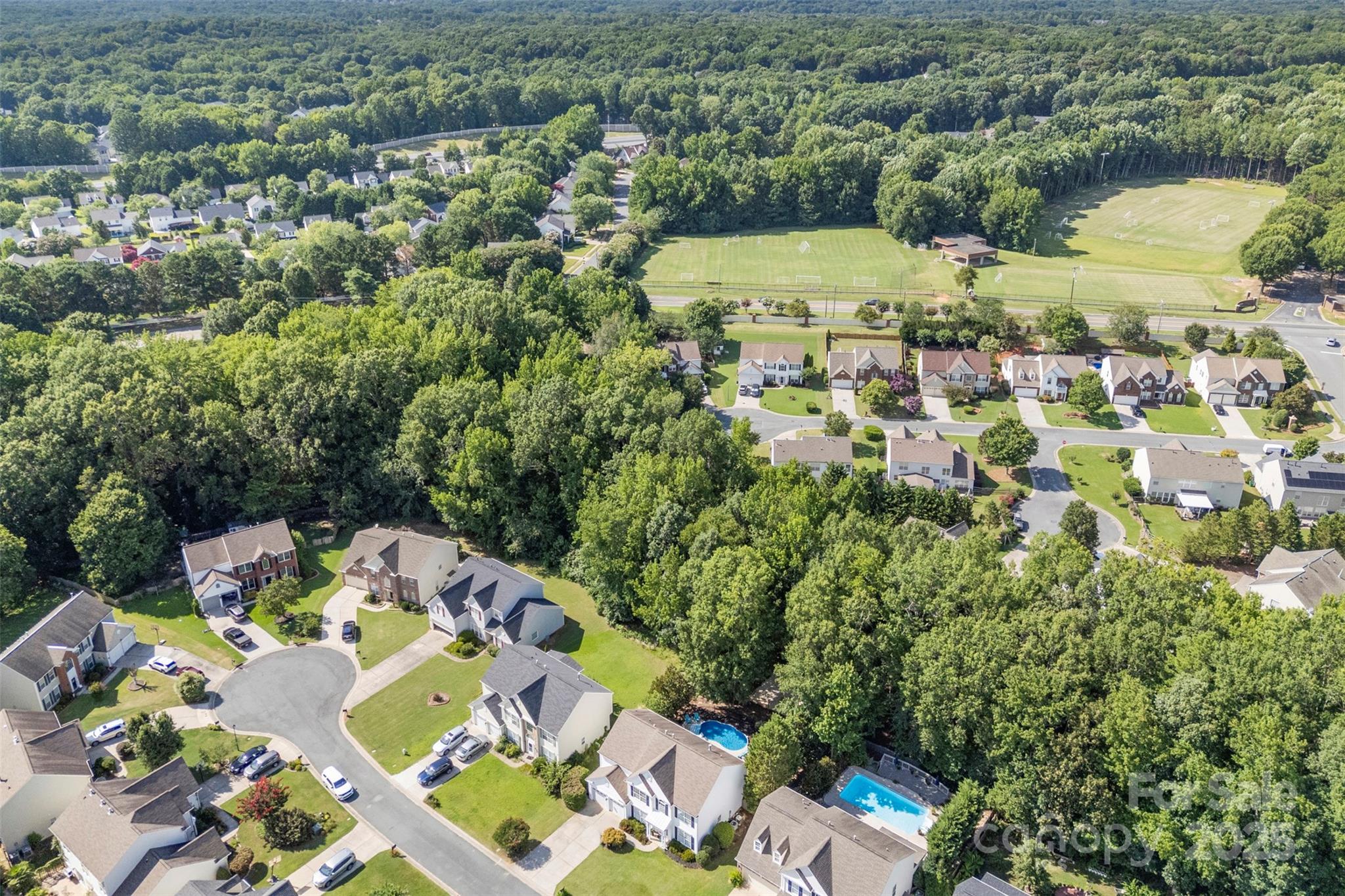 3125 Arborhill Road Property Photo 4