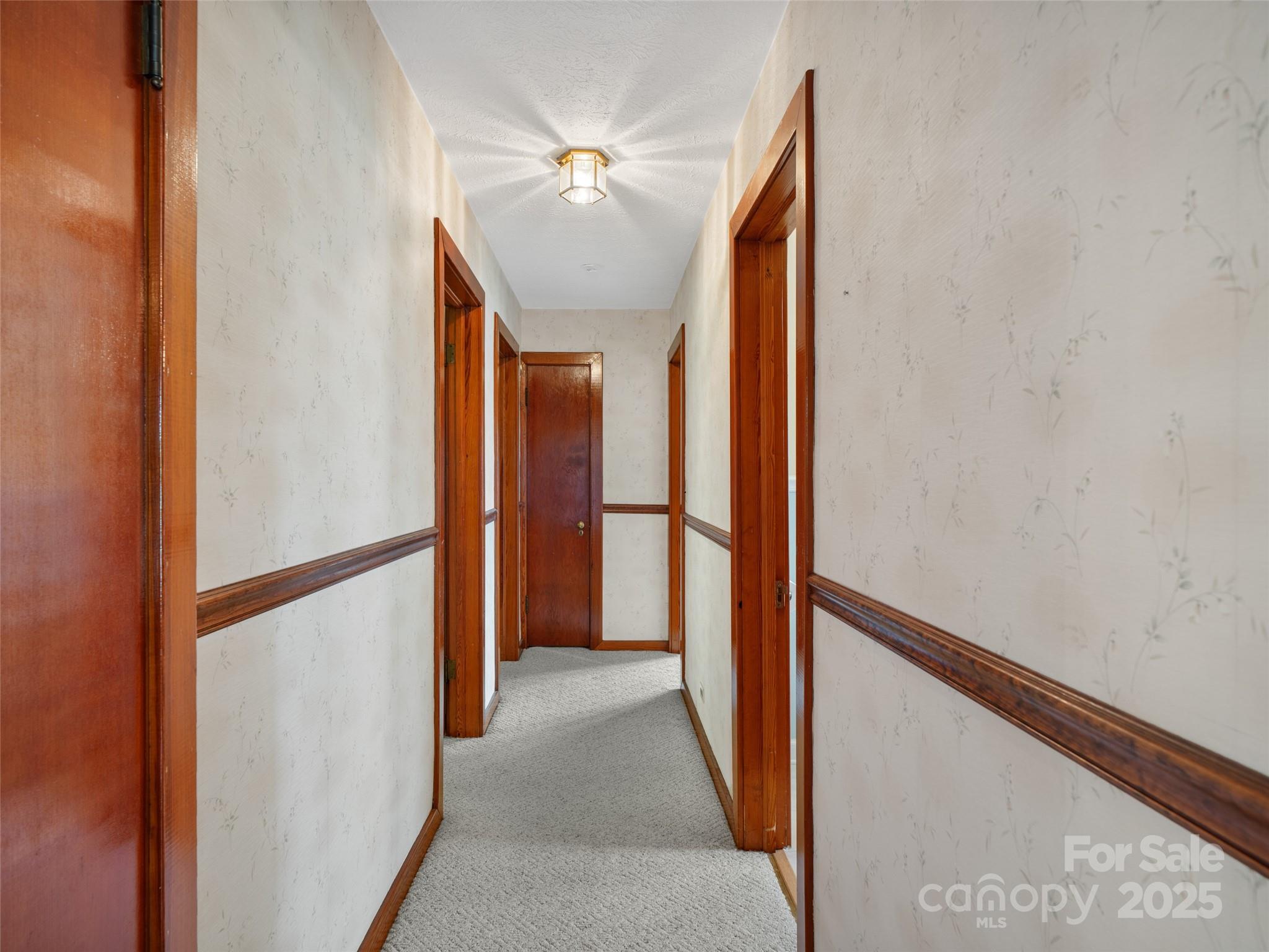 12 Robertson Street Property Photo 17