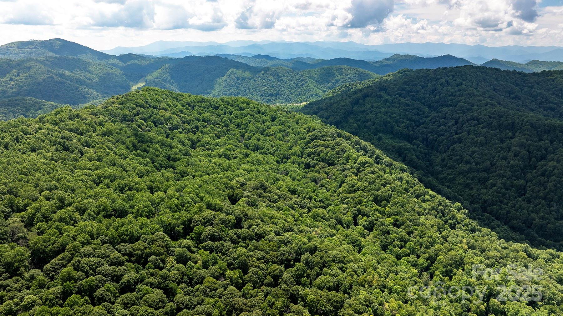 1710 Roaring Fork Road Property Photo 2