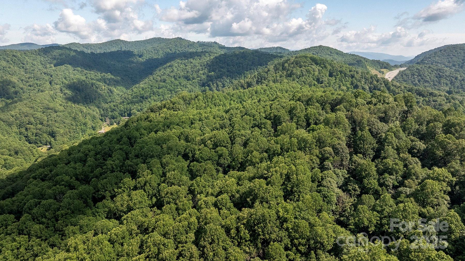 1710 Roaring Fork Road Property Photo 4