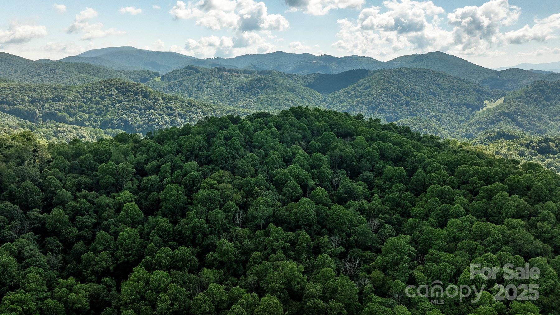 1710 Roaring Fork Road Property Photo 6