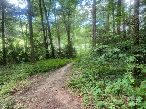 0 Mountain River Place Property Photo 10