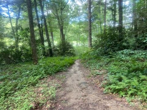 0 Mountain River Place Property Photo 12