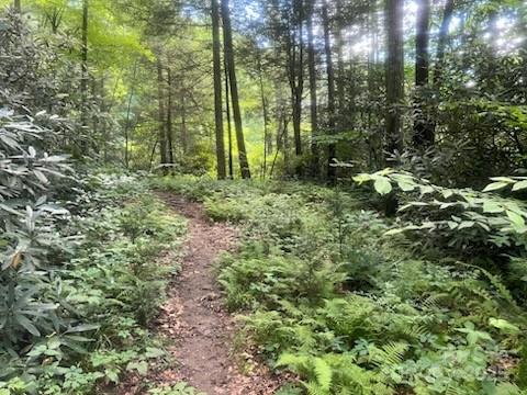 0 Mountain River Place Property Photo 14