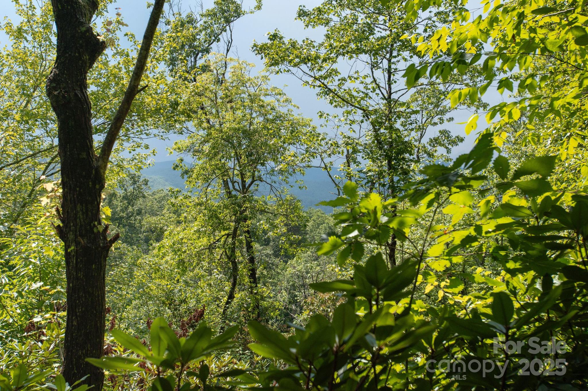 Lot # 2 Masterpiece View Drive 2 Property Photo 3