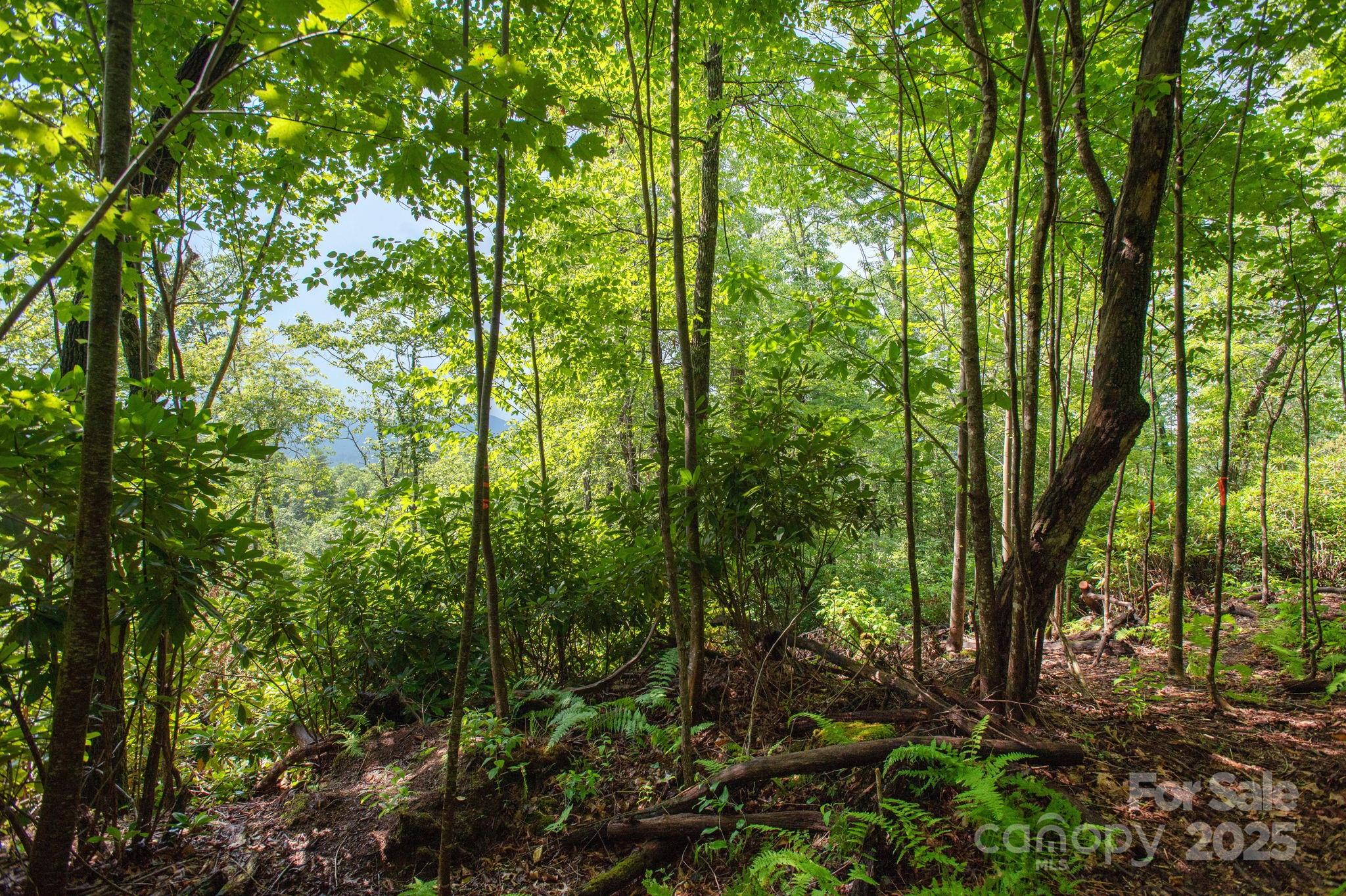 Lot # 2 Masterpiece View Drive 2 Property Photo 4