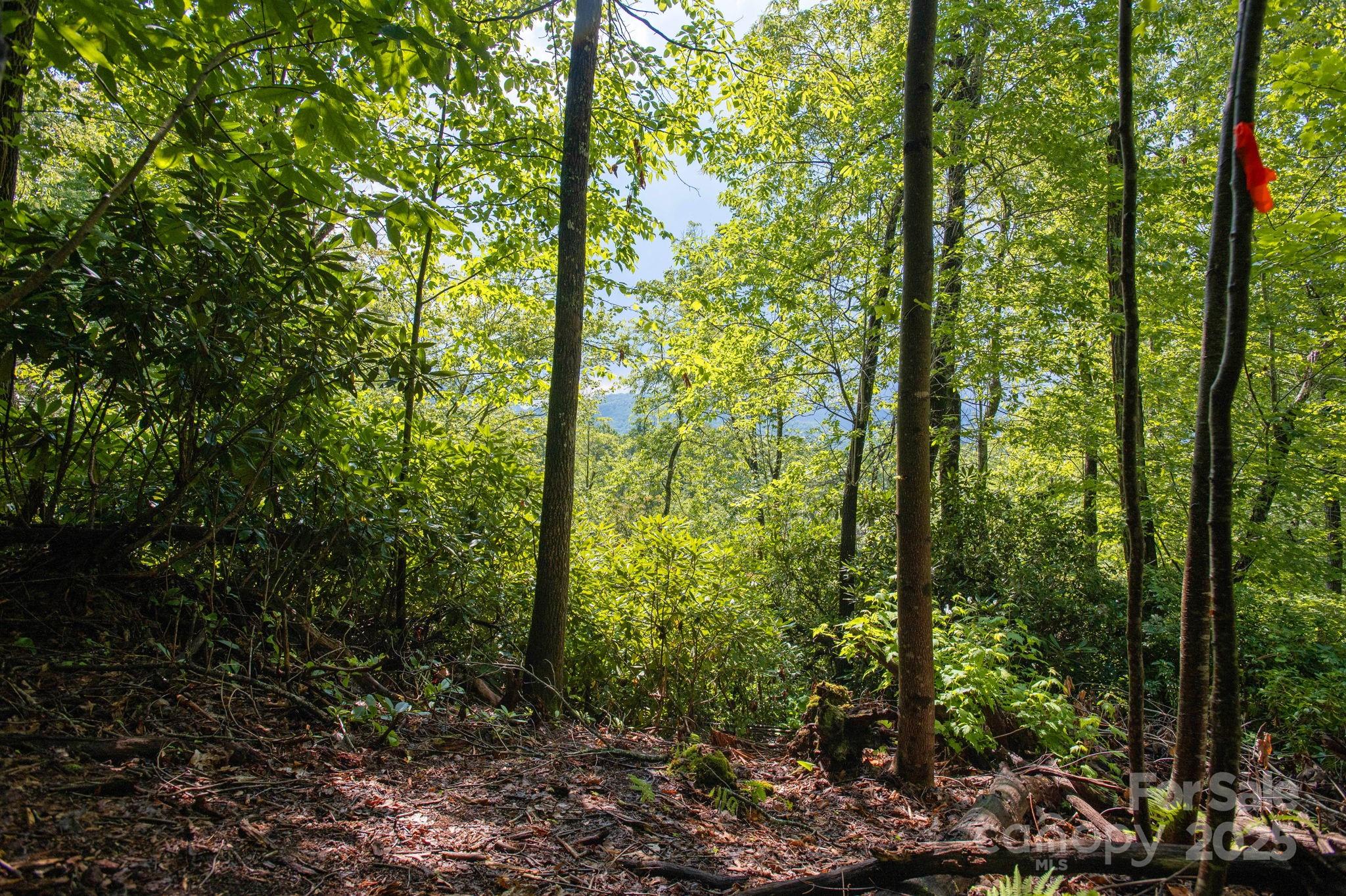 Lot # 2 Masterpiece View Drive 2 Property Photo 5