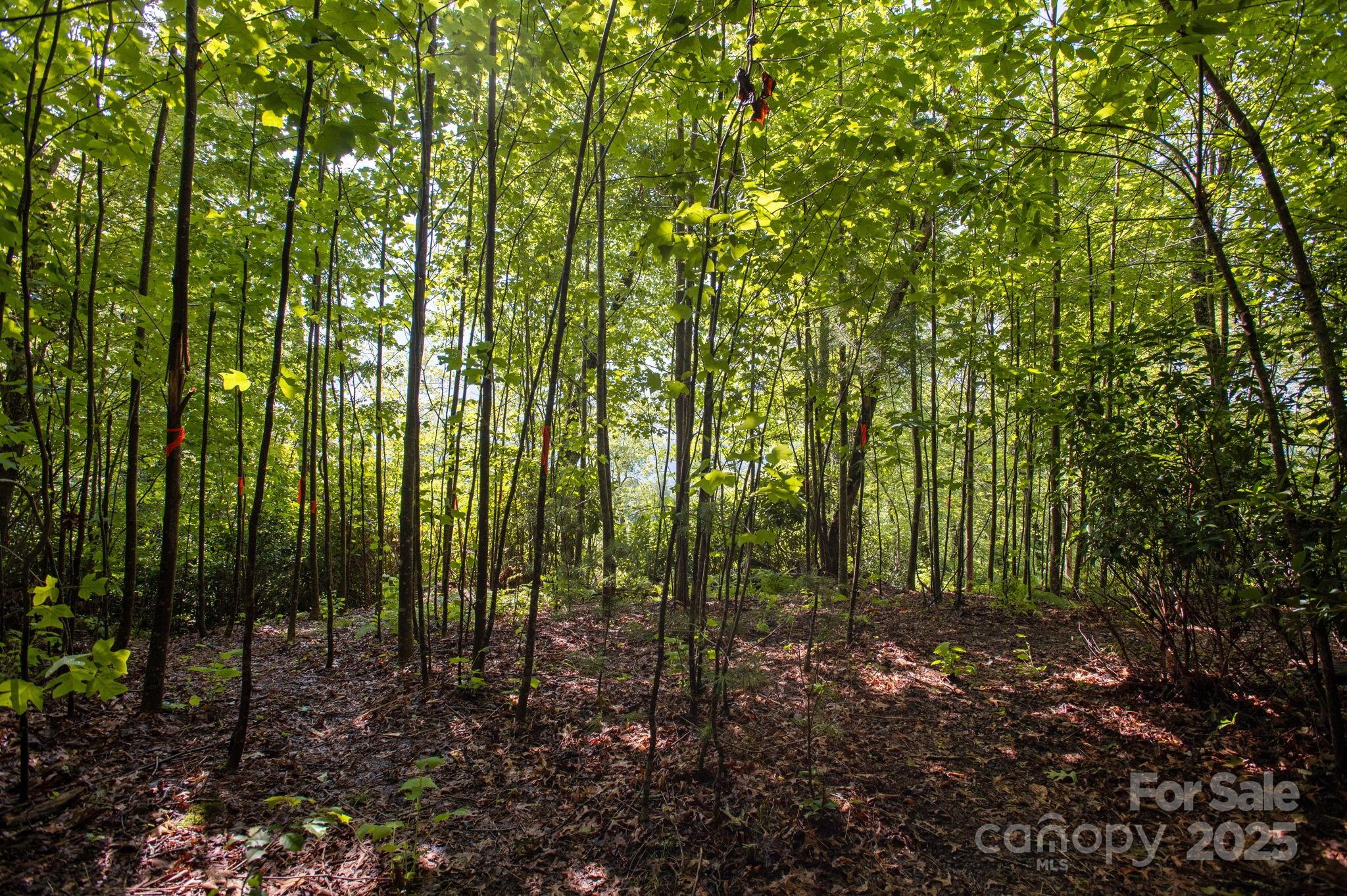 Lot # 2 Masterpiece View Drive 2 Property Photo 6