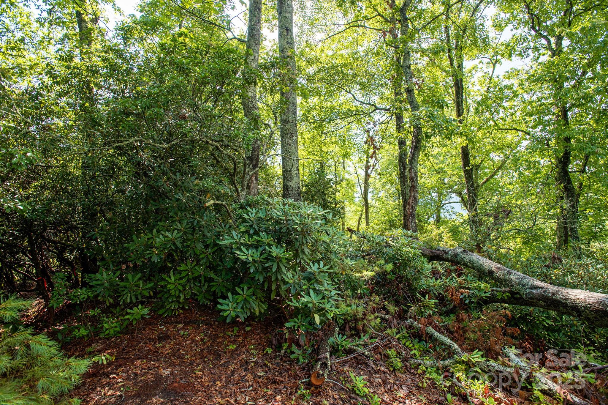 Lot # 2 Masterpiece View Drive 2 Property Photo 7