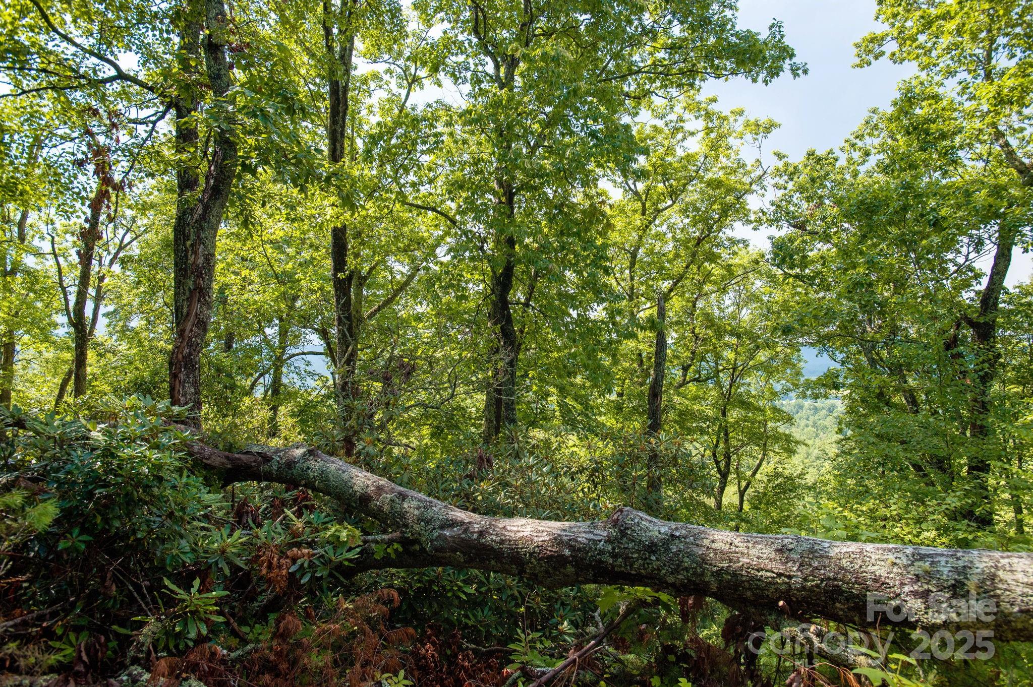 Lot # 2 Masterpiece View Drive 2 Property Photo 8